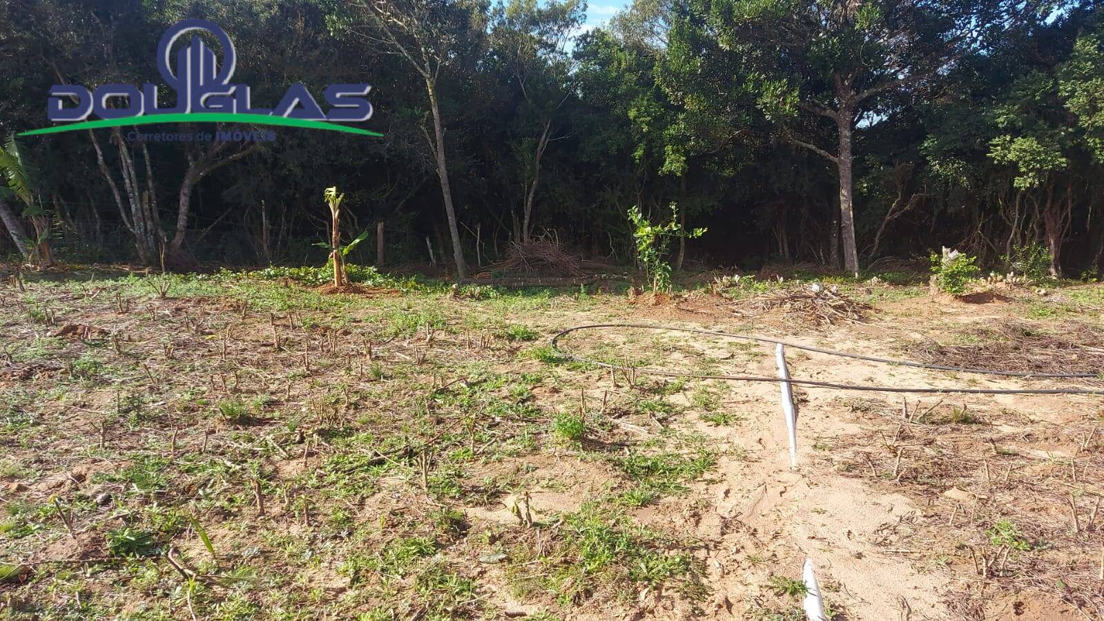 Chácara à venda com 2 quartos, 204080m² - Foto 14
