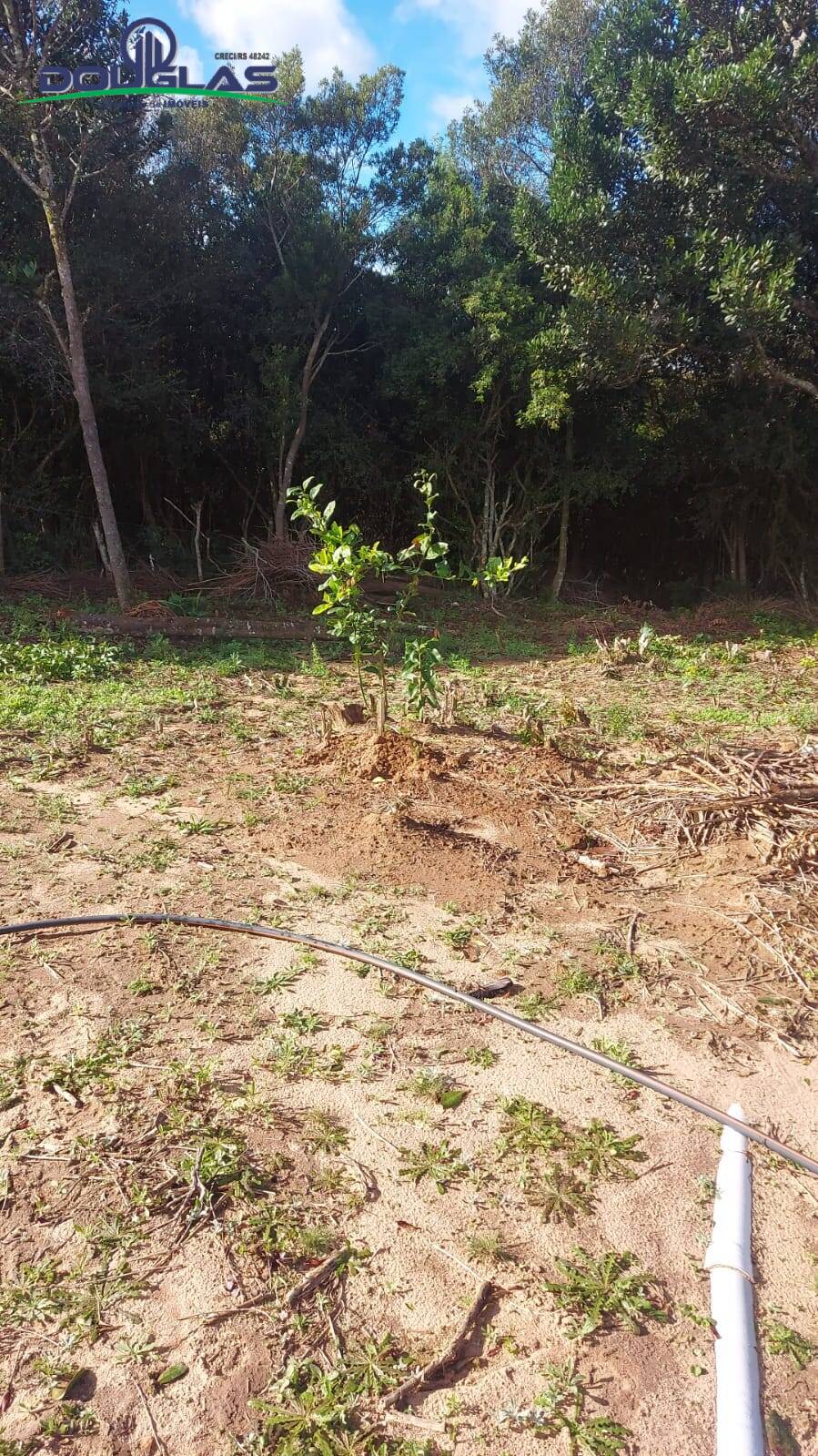 Chácara à venda com 2 quartos, 204080m² - Foto 15
