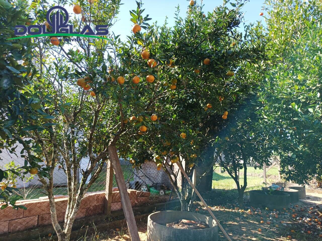 Terreno, 495 m² - Foto 4