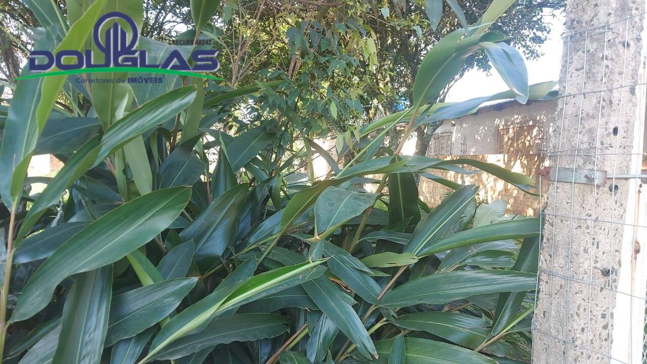 Terreno, 360 m² - Foto 5