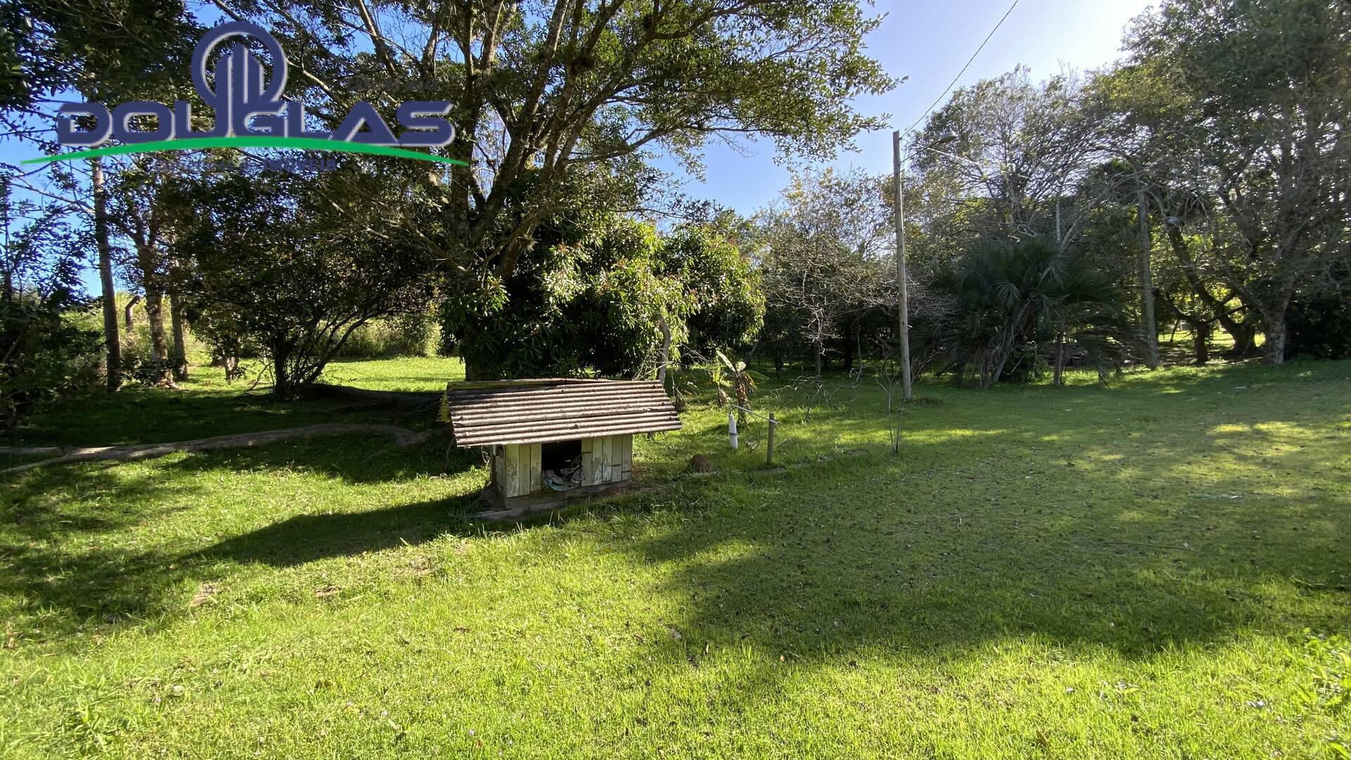 Sítio à venda com 1 quarto, 50m² - Foto 15