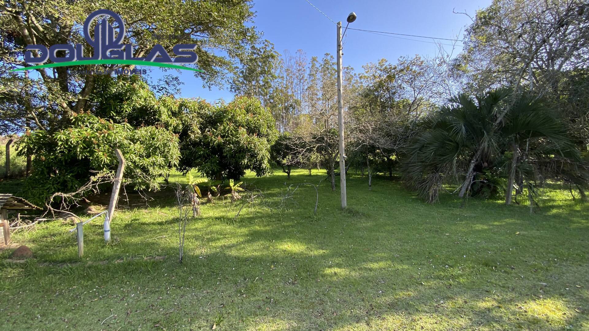 Sítio à venda com 1 quarto, 50m² - Foto 21