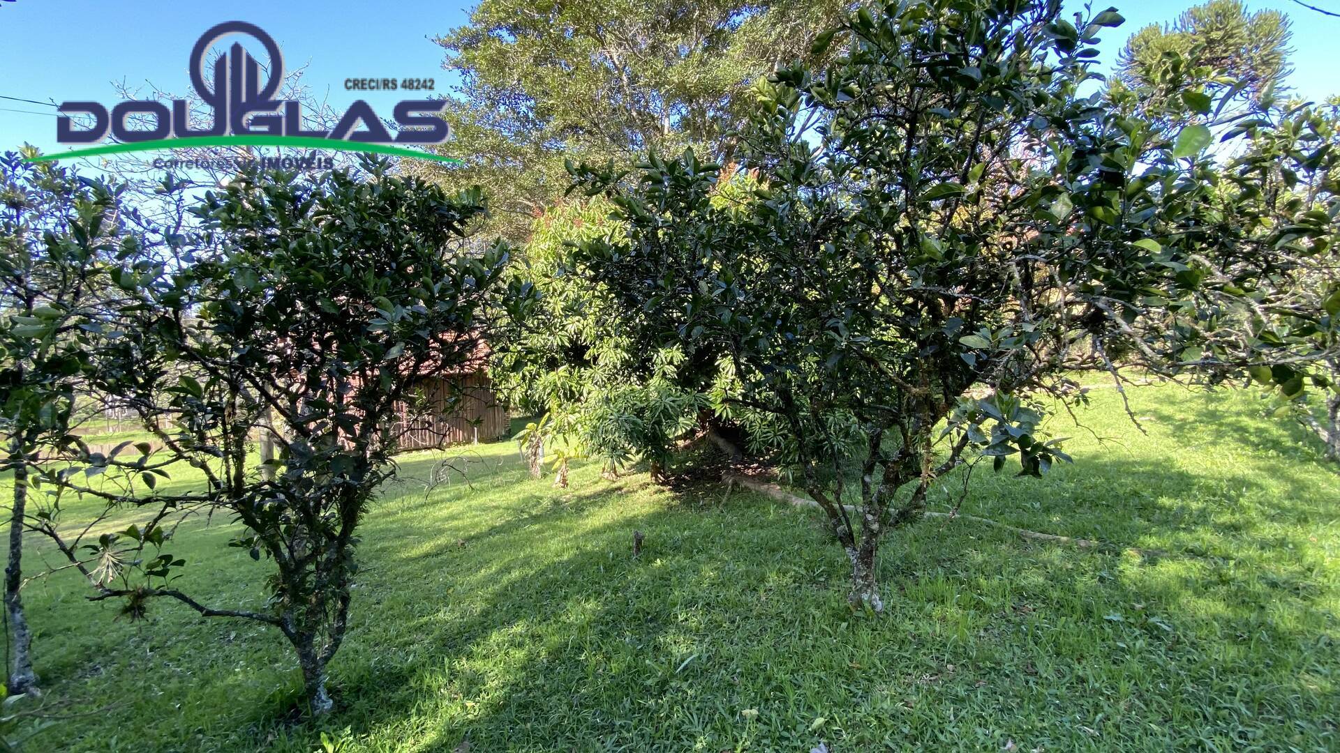 Sítio à venda com 1 quarto, 50m² - Foto 23