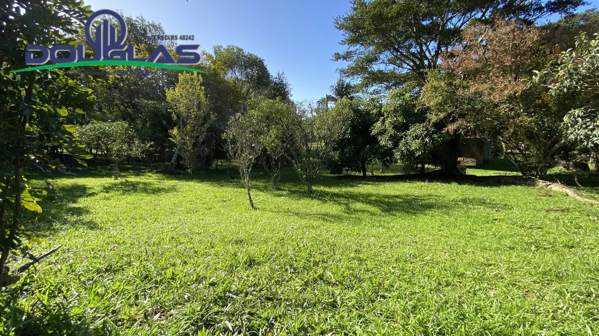 Sítio à venda com 1 quarto, 50m² - Foto 25