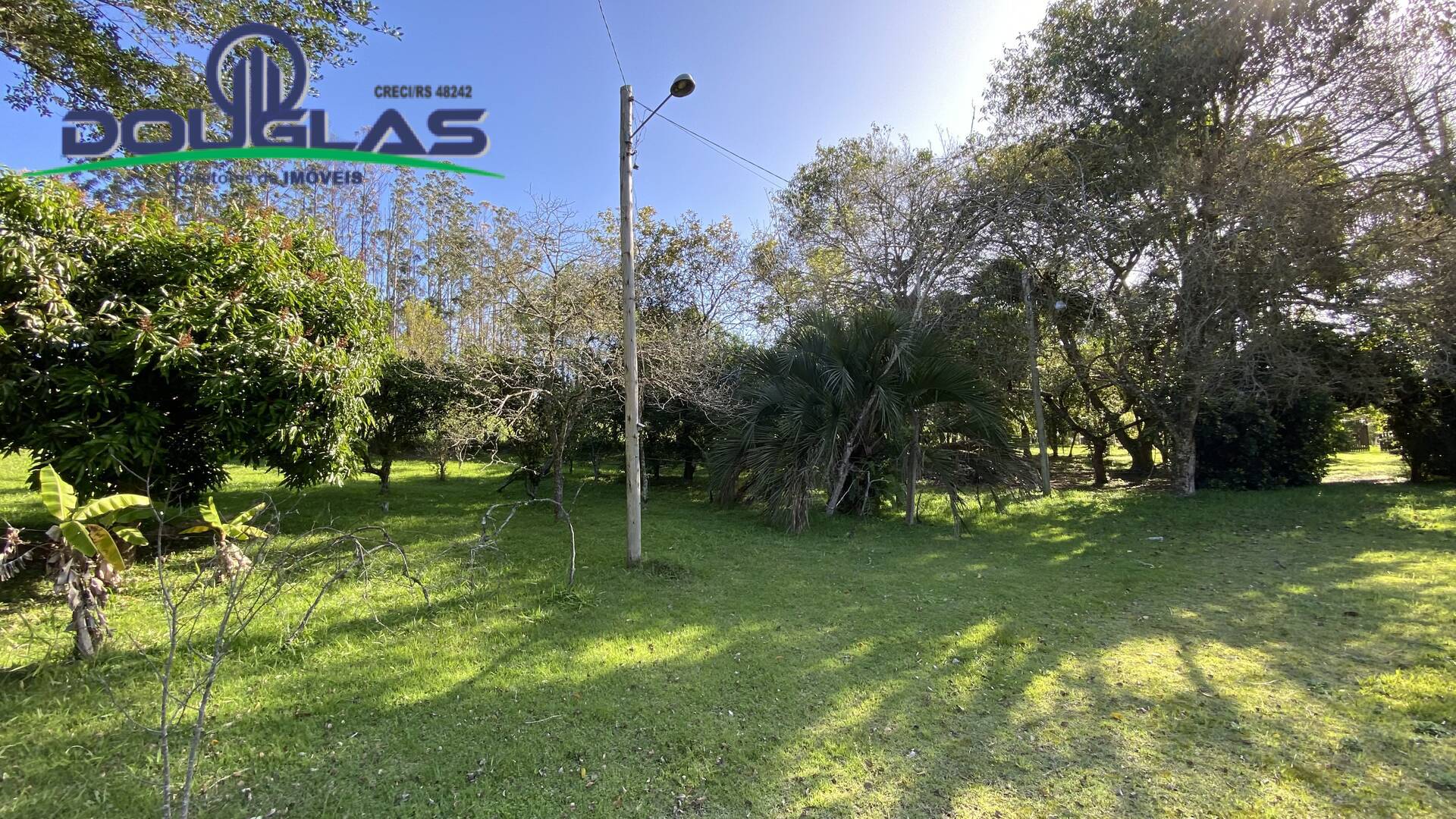 Sítio à venda com 1 quarto, 50m² - Foto 27