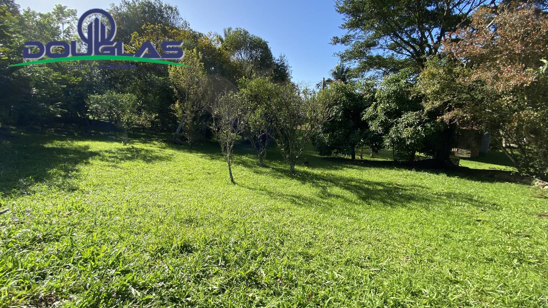 Sítio à venda com 1 quarto, 50m² - Foto 29
