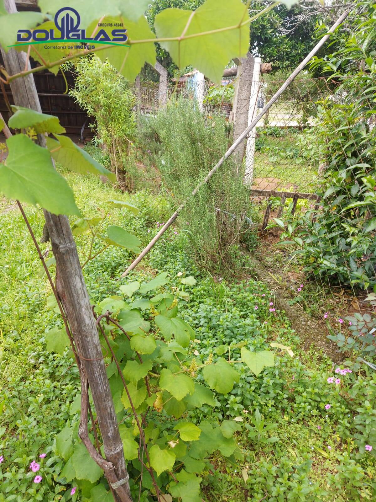 Casa, 4 quartos - Foto 23