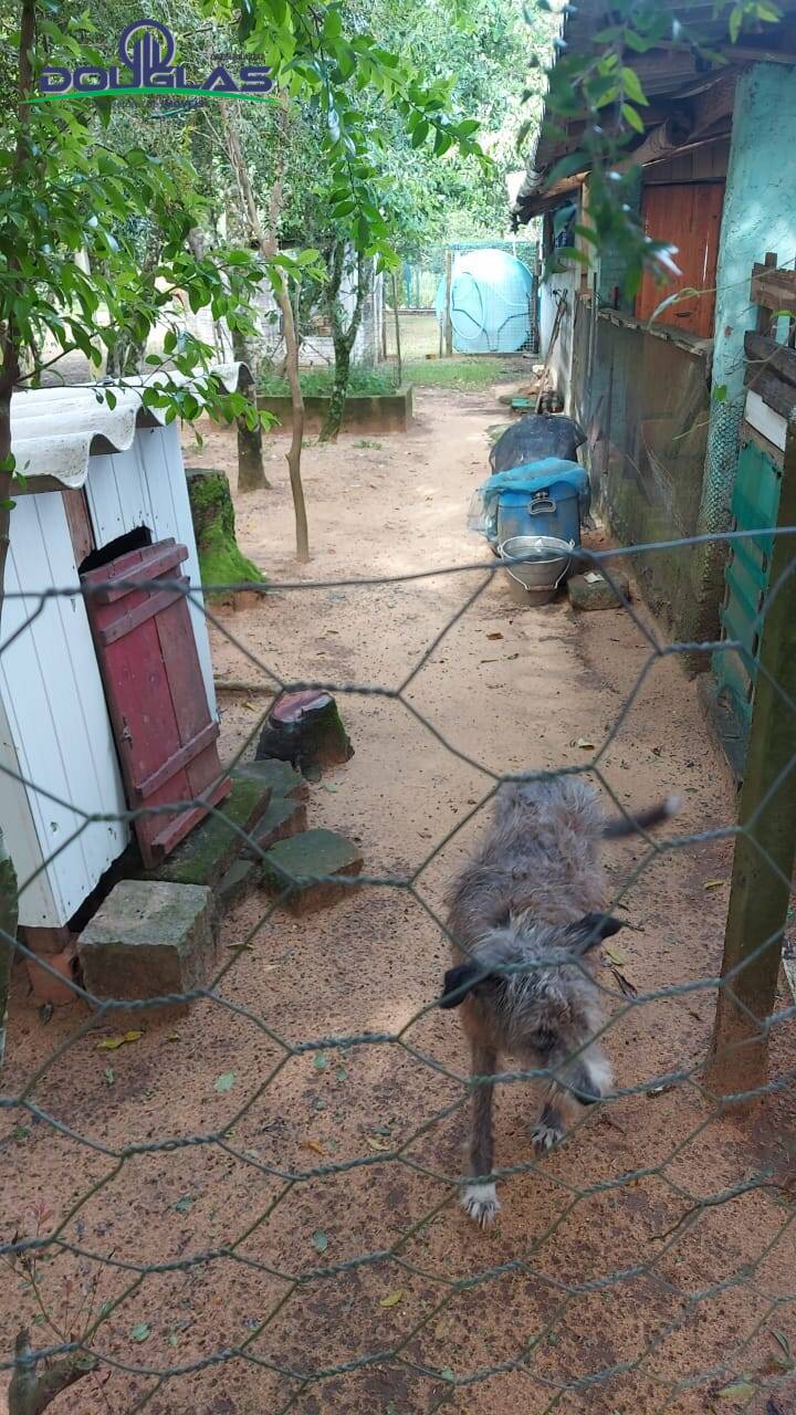 Casa, 3 quartos - Foto 11