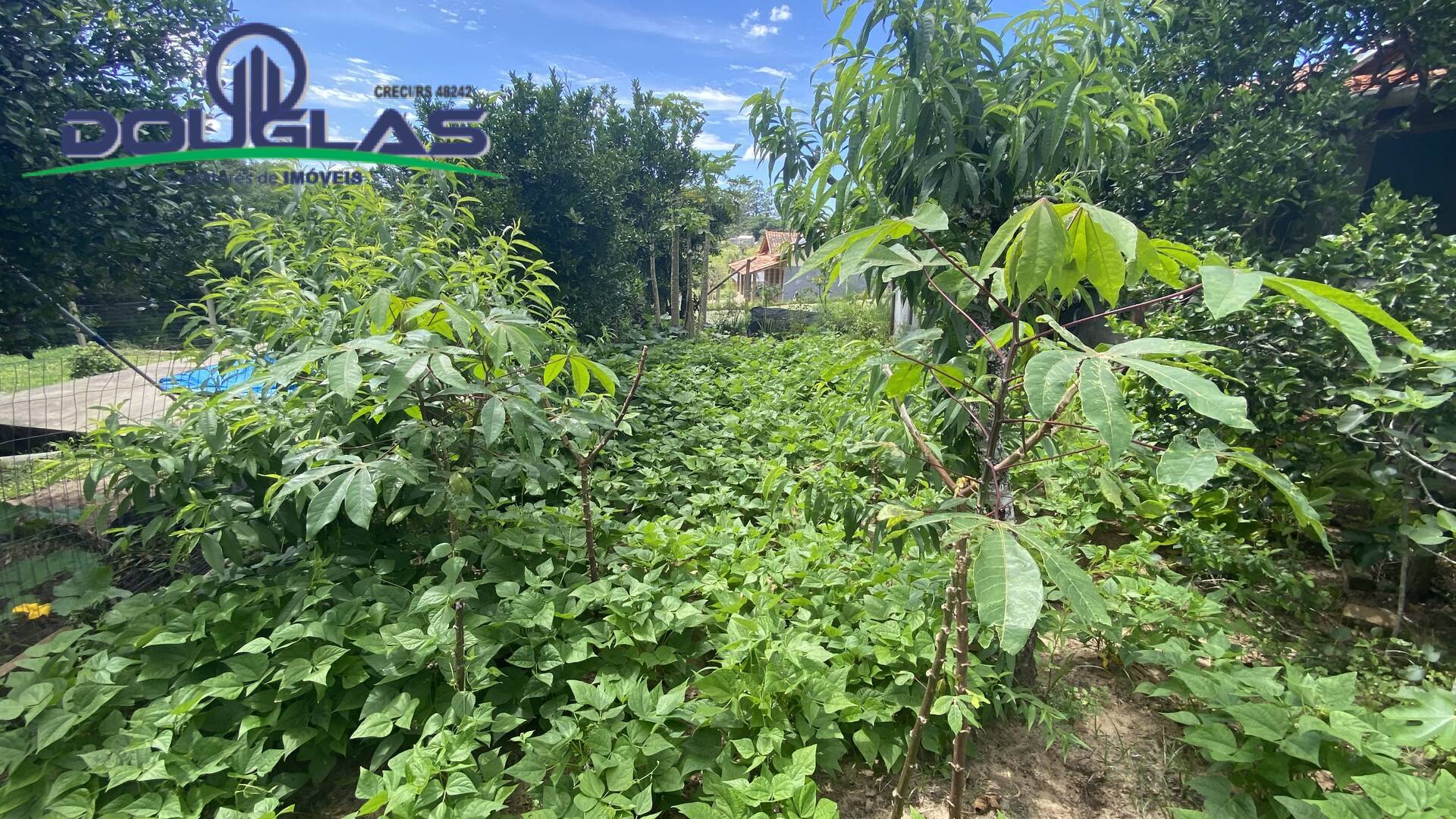 Casa, 6 quartos - Foto 34