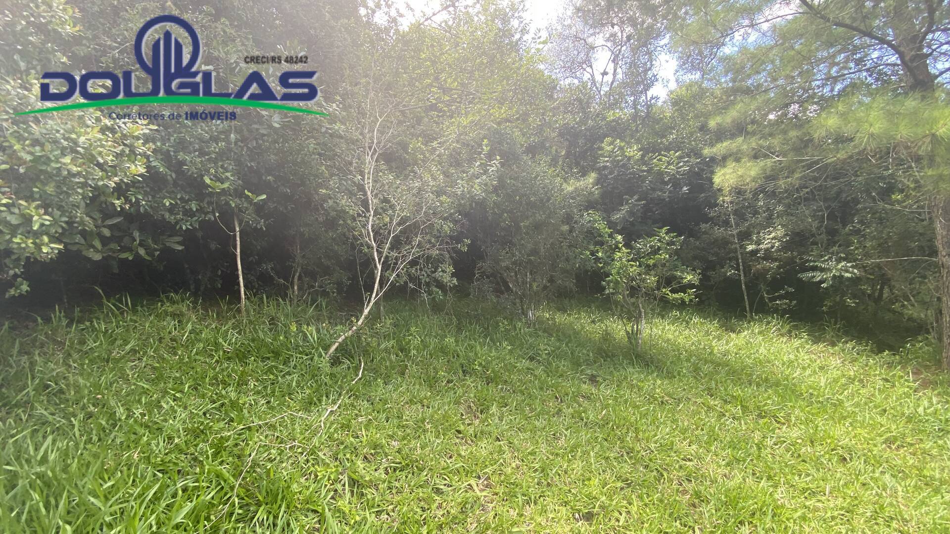 Terreno, 5000 m² - Foto 1