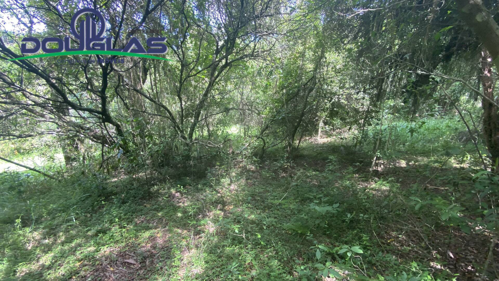 Terreno, 5000 m² - Foto 2