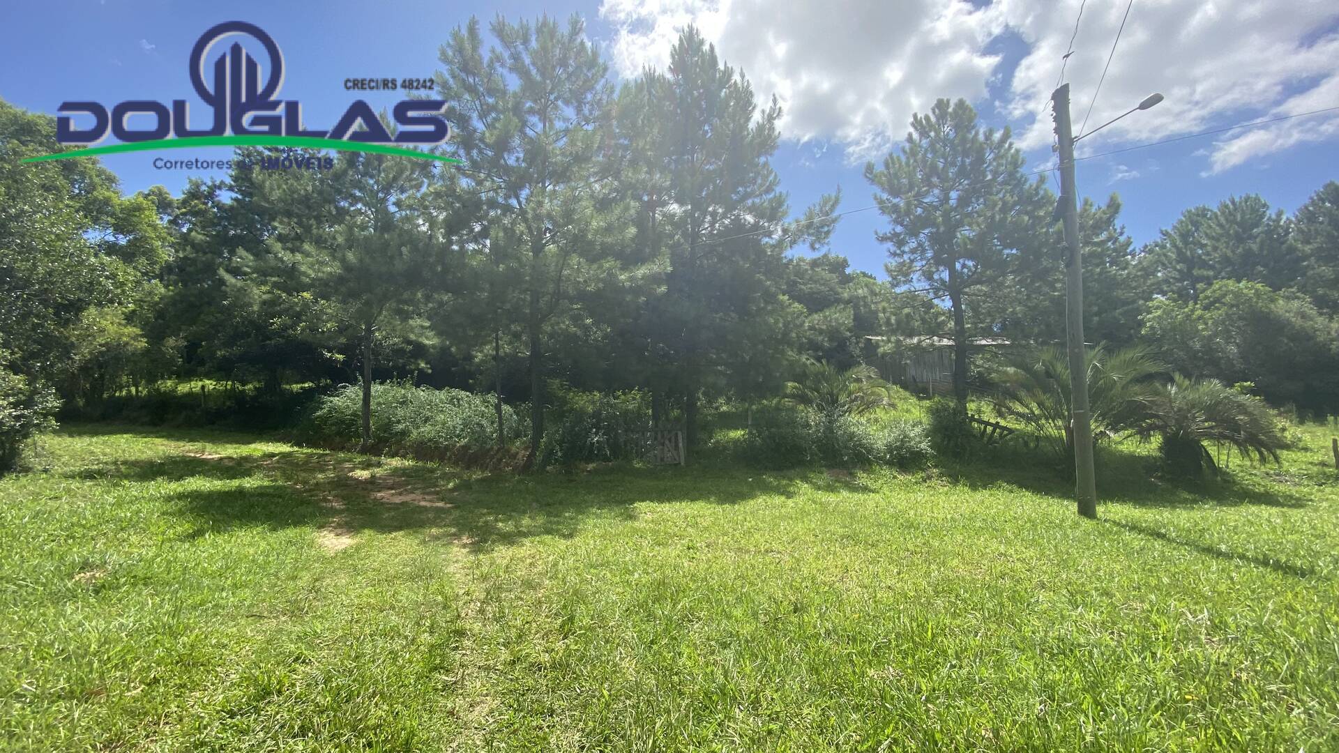 Terreno, 5000 m² - Foto 3