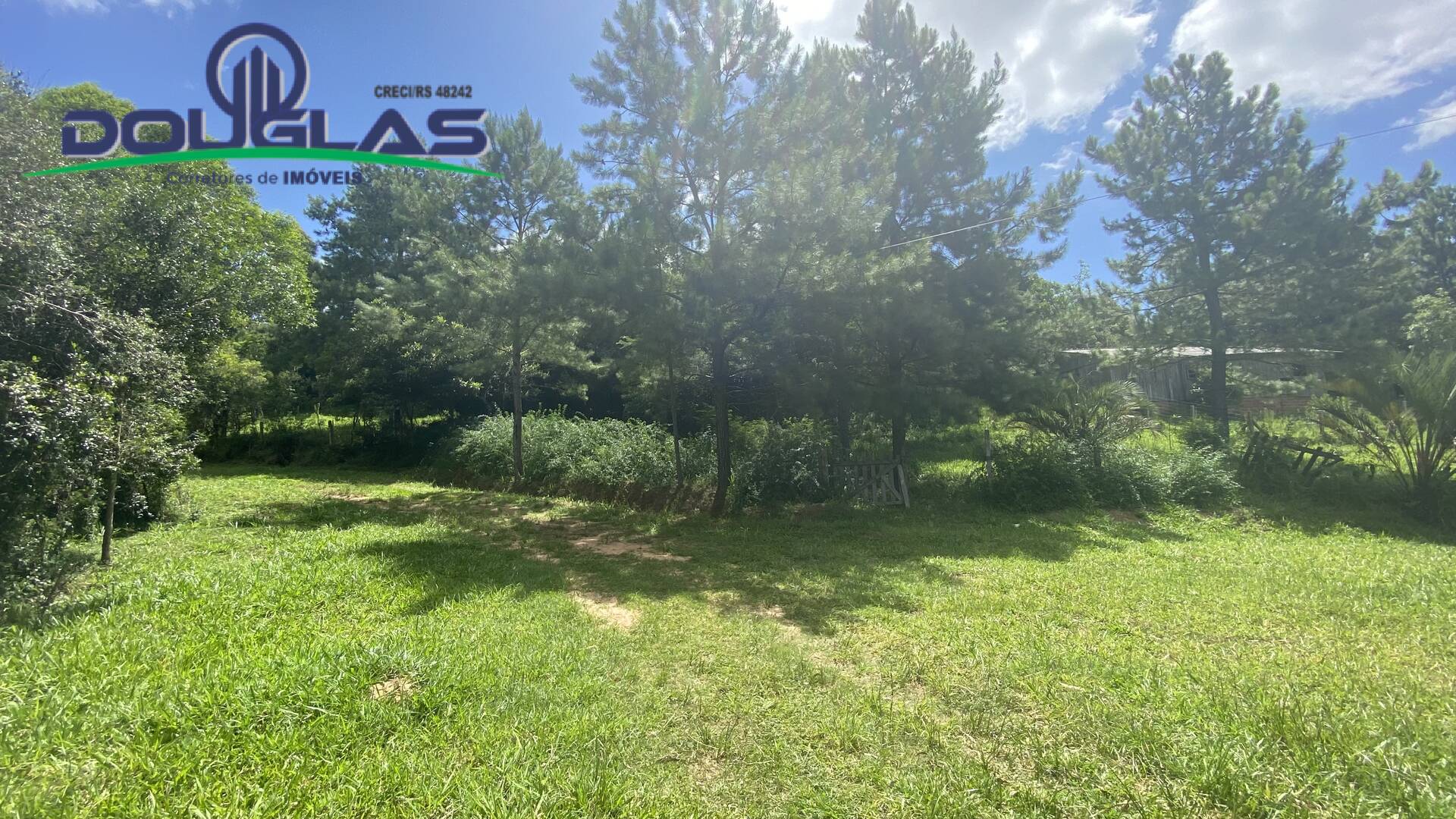 Terreno, 5000 m² - Foto 4