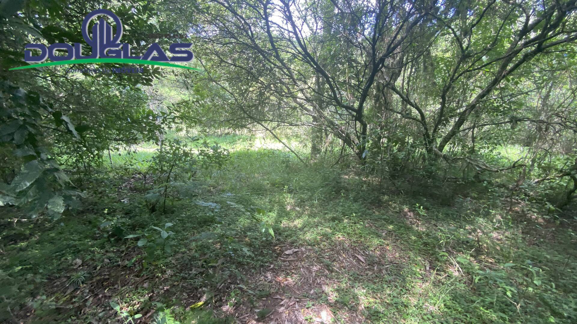 Terreno, 5000 m² - Foto 5