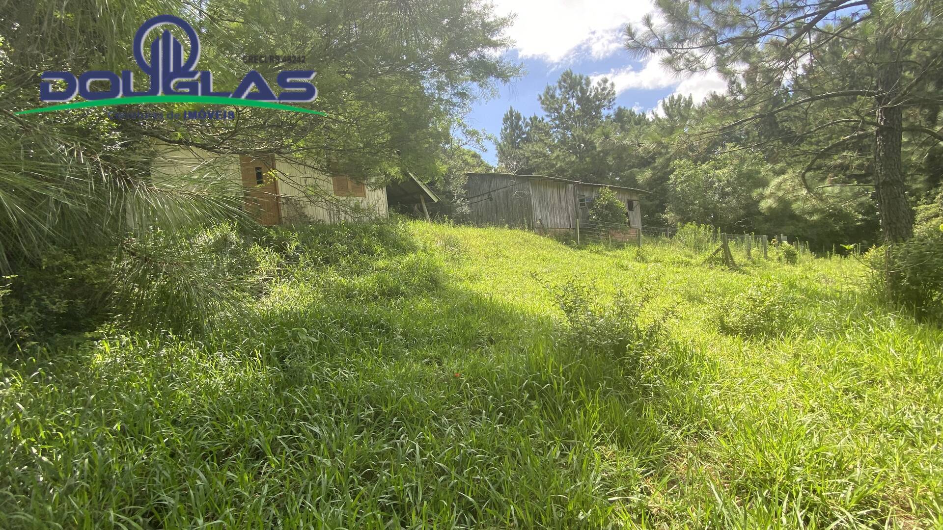 Terreno, 5000 m² - Foto 6