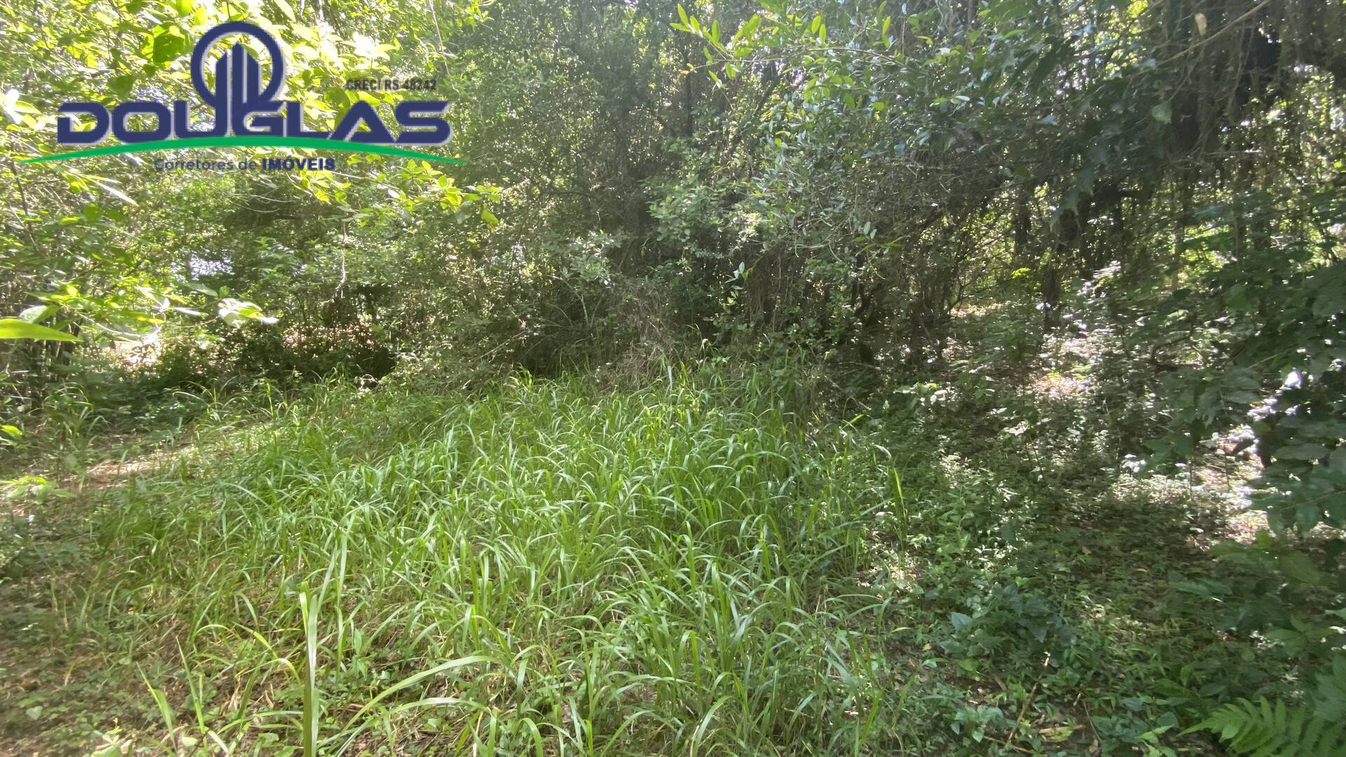 Terreno, 5000 m² - Foto 7