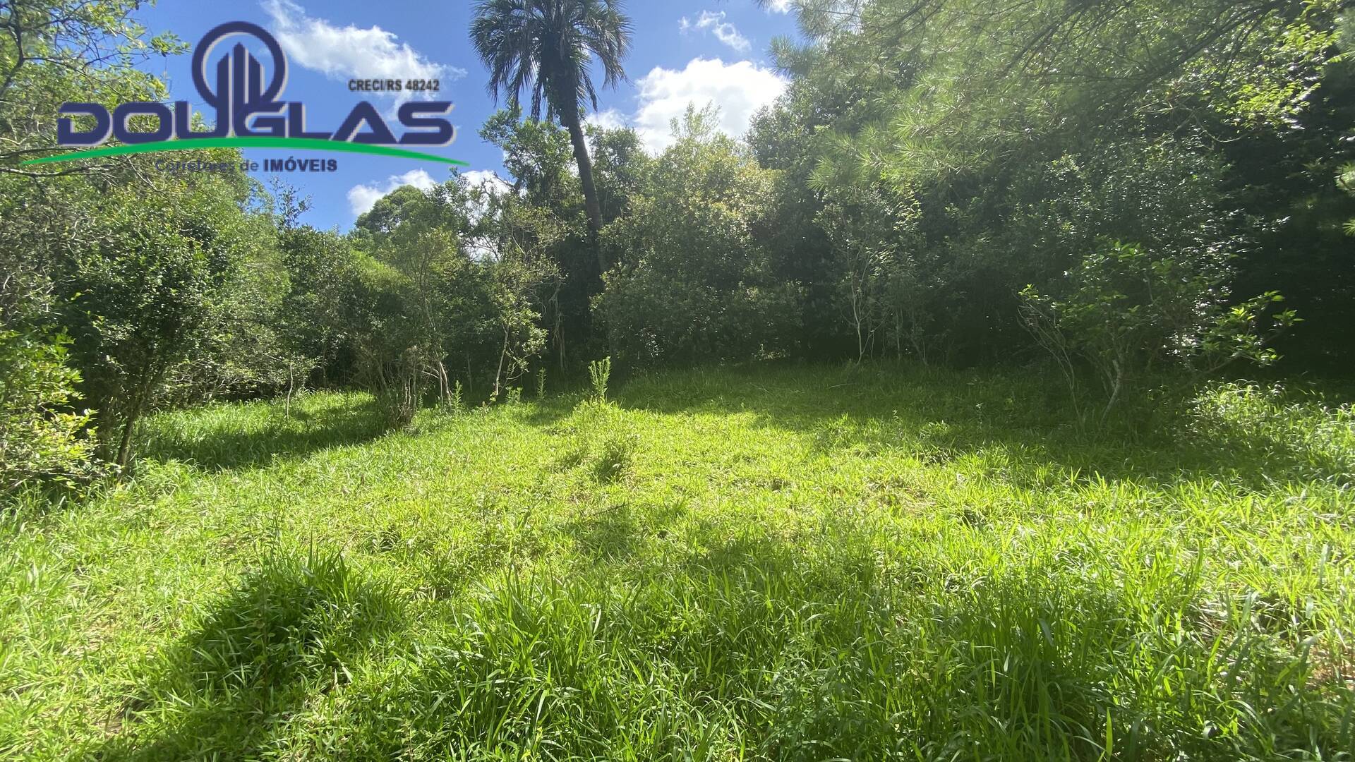 Terreno, 5000 m² - Foto 9