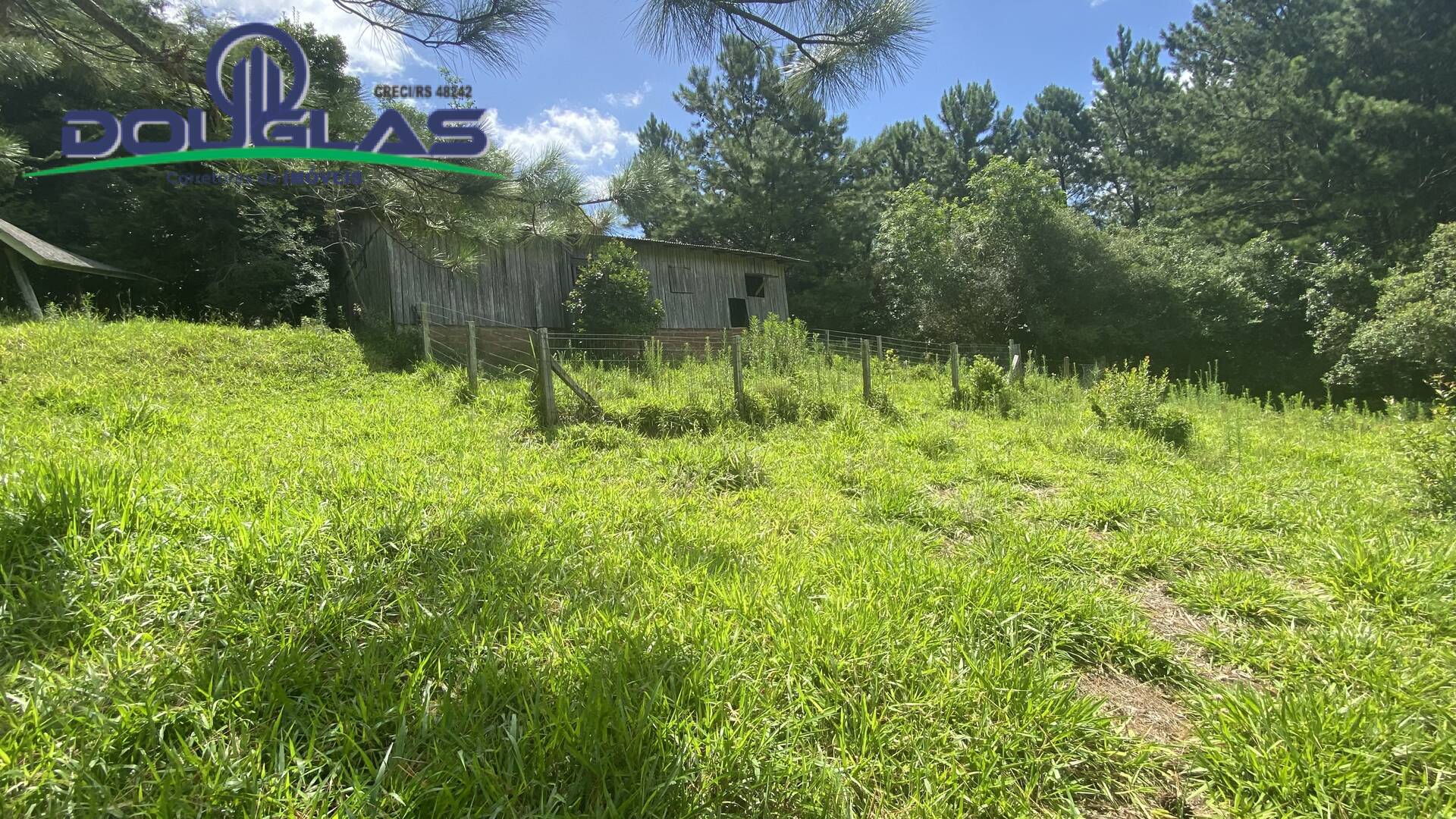 Terreno, 5000 m² - Foto 10