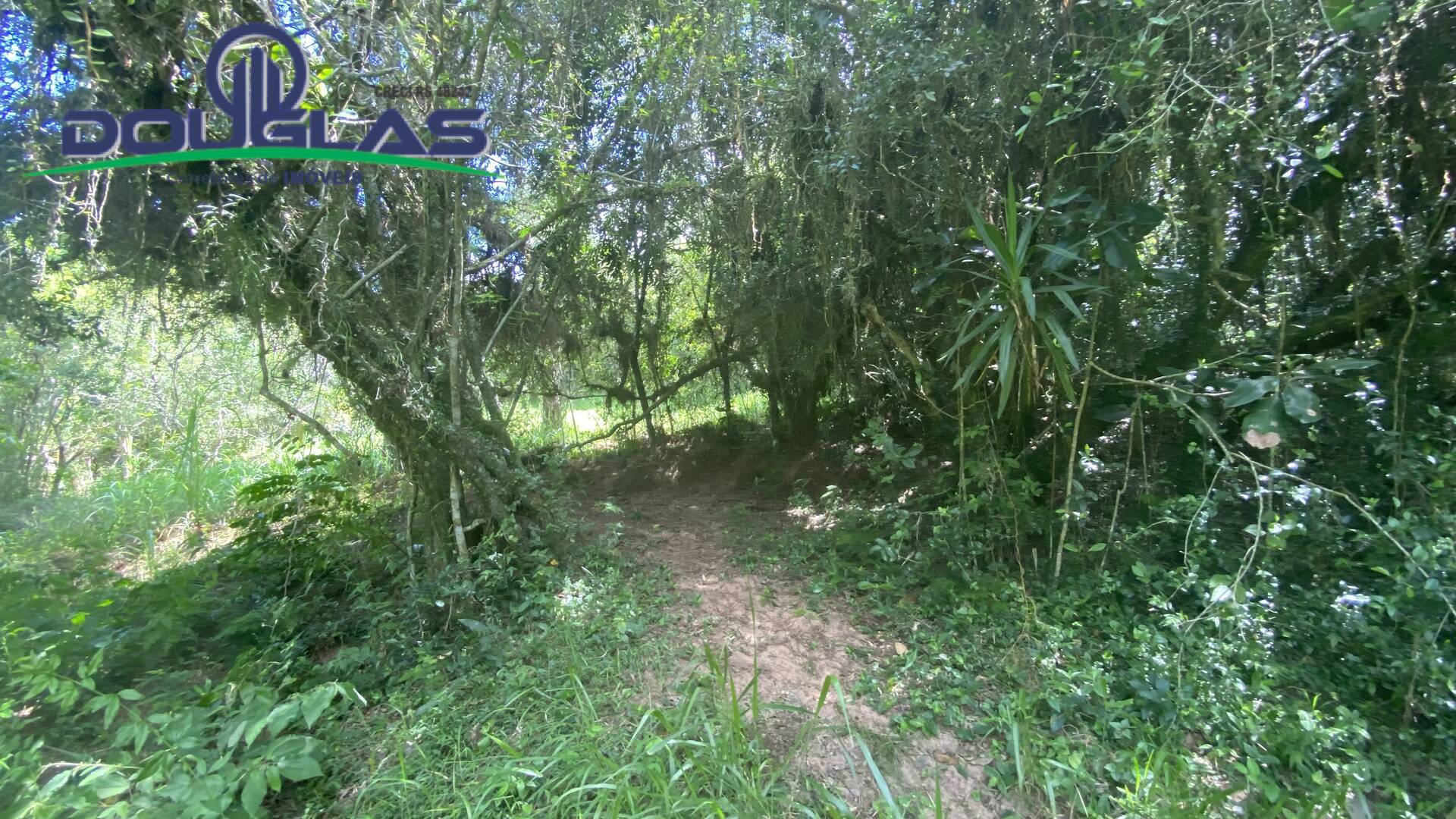 Terreno, 5000 m² - Foto 11