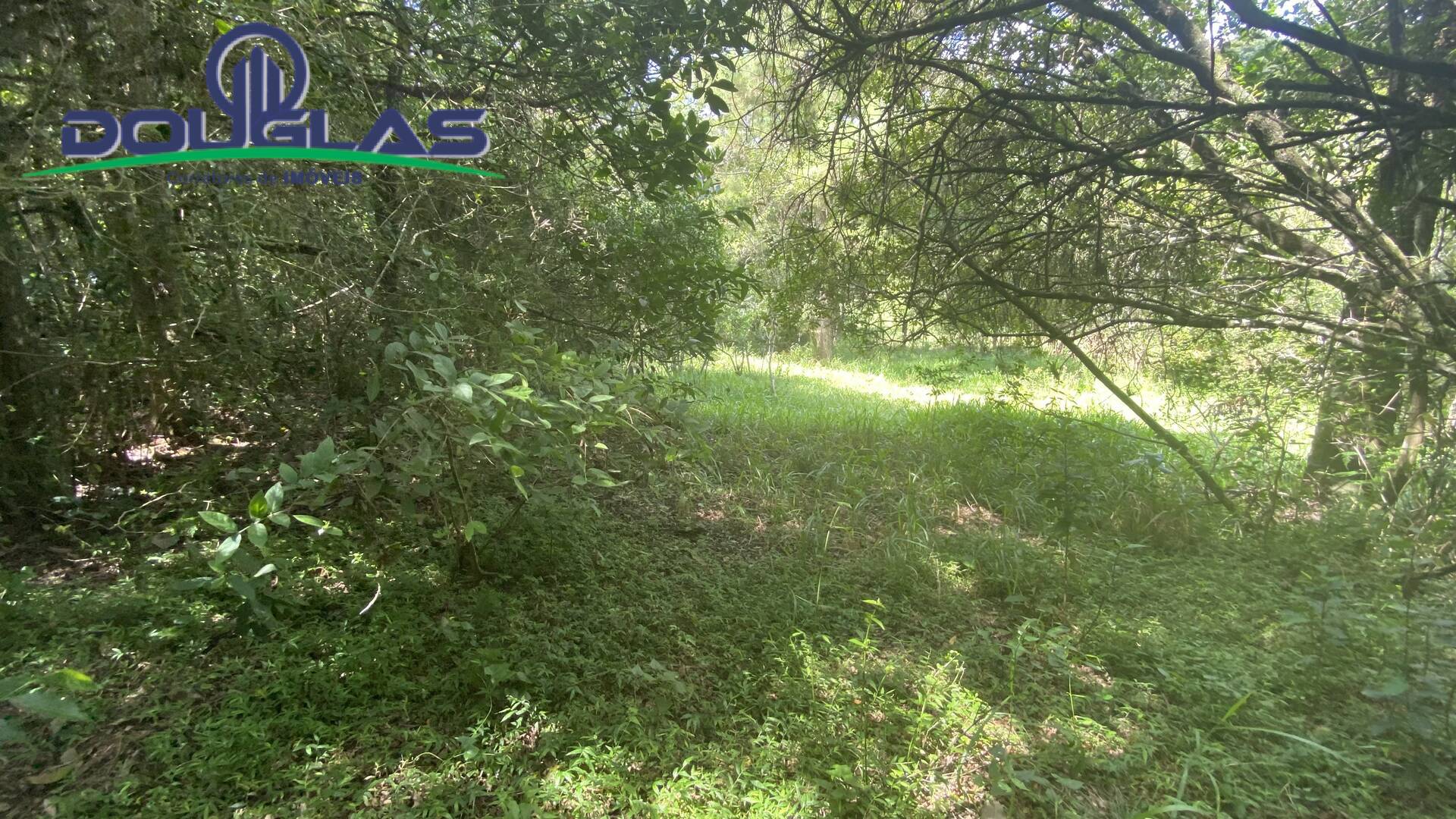 Terreno, 5000 m² - Foto 12