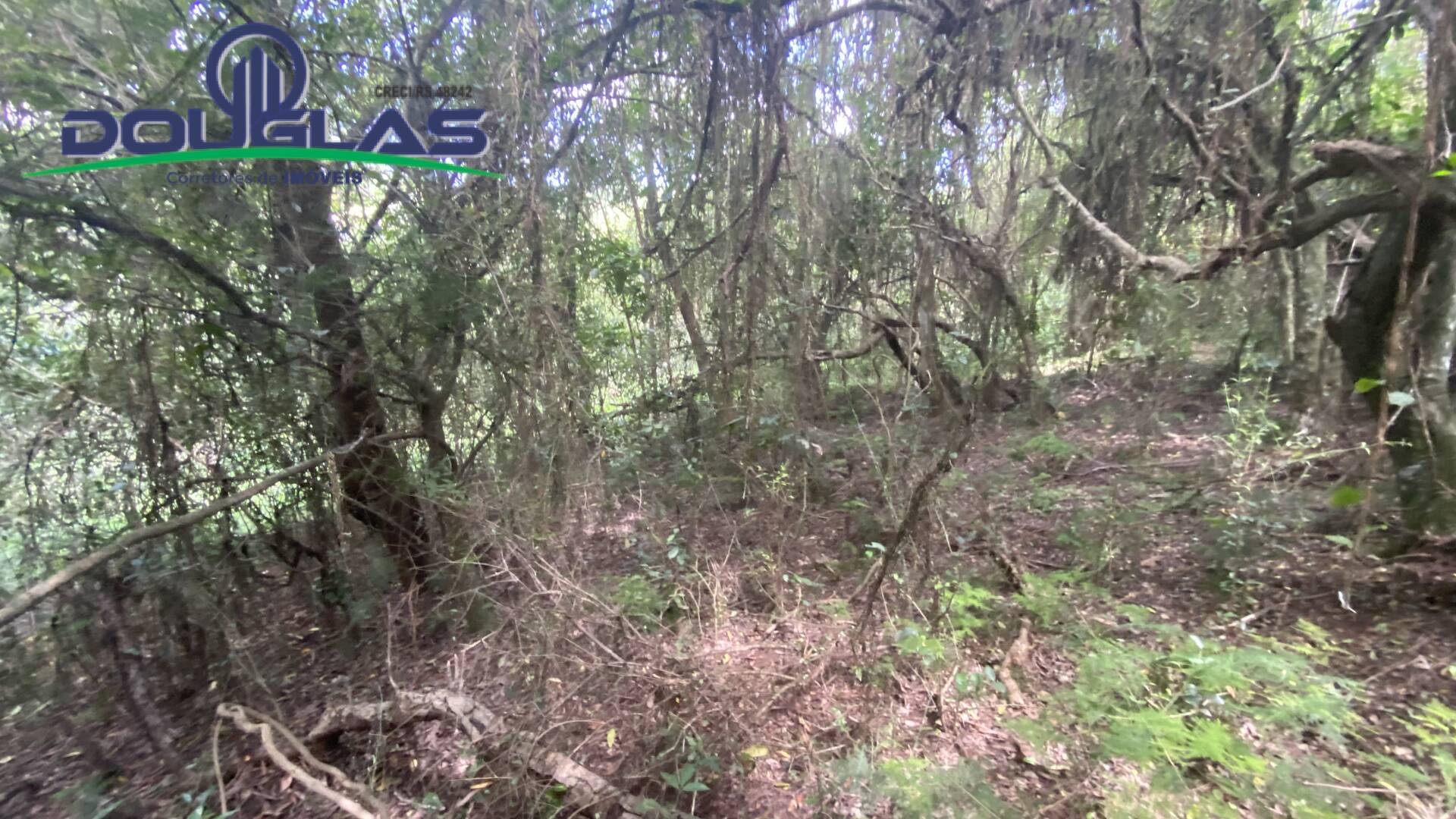 Terreno, 5000 m² - Foto 13