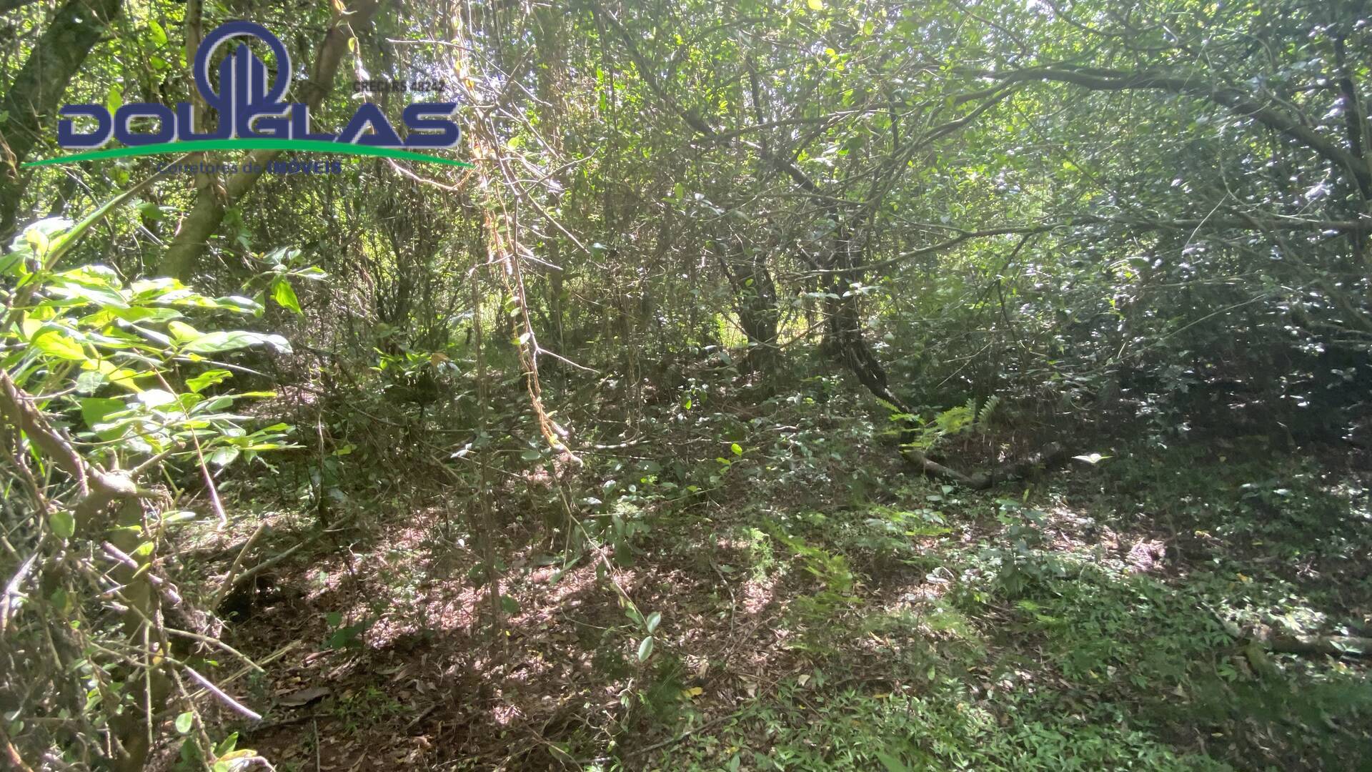 Terreno, 5000 m² - Foto 14