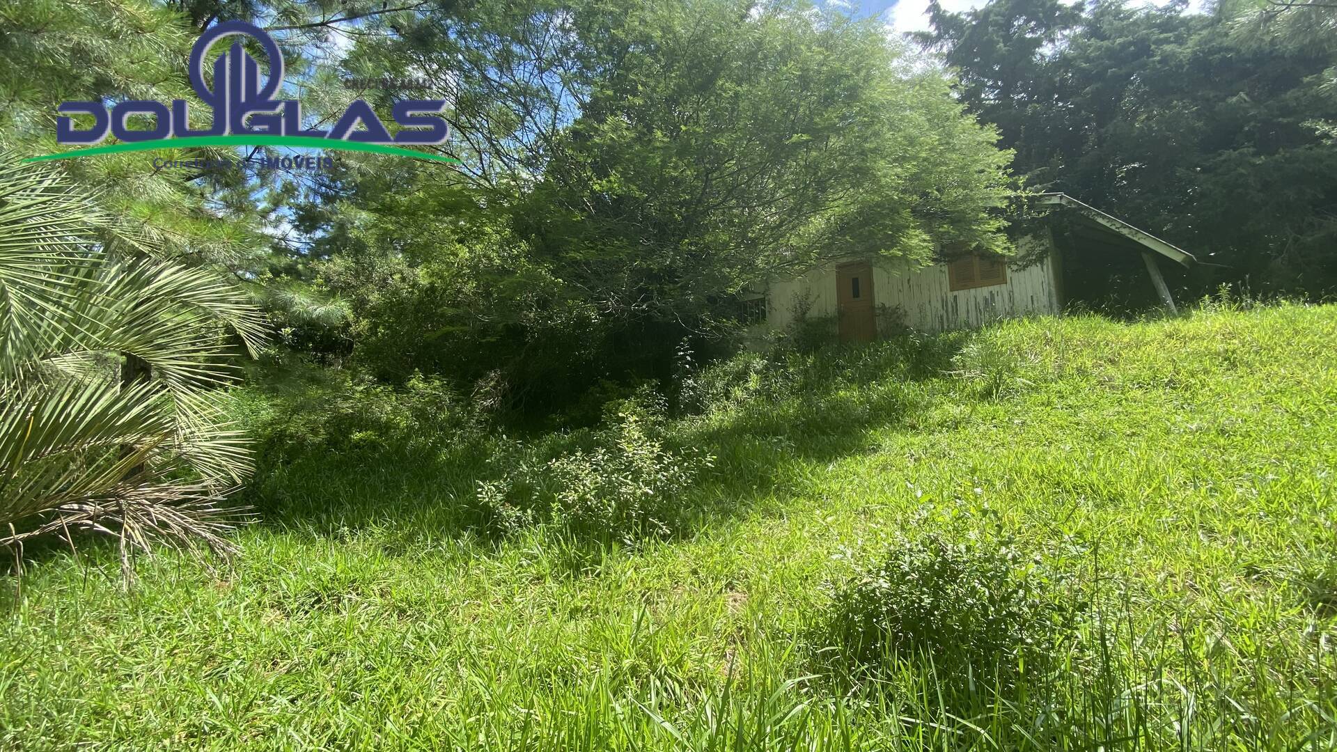 Terreno, 5000 m² - Foto 15