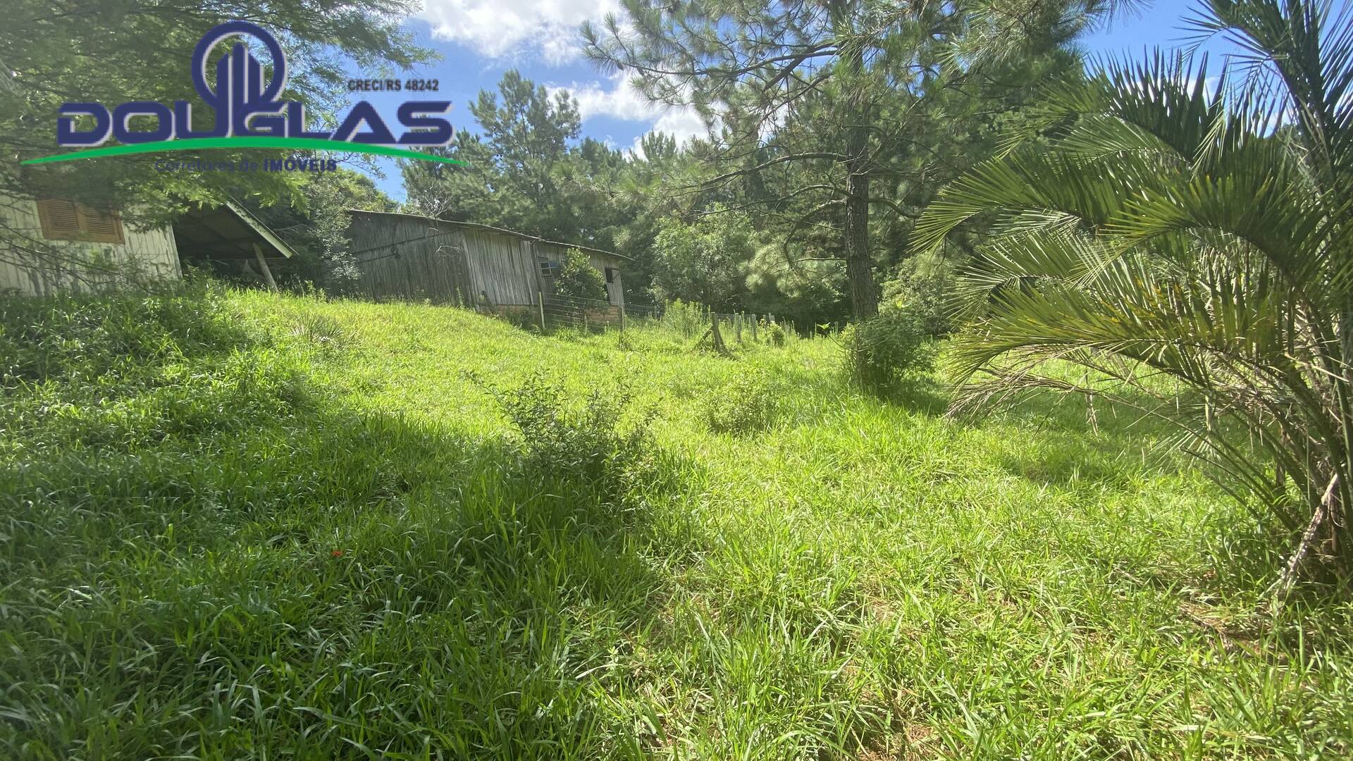 Terreno, 5000 m² - Foto 16