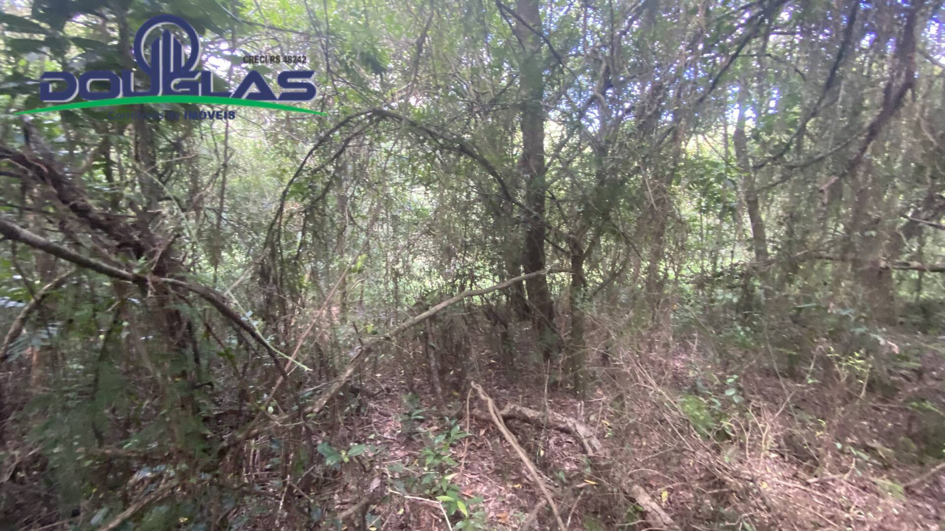 Terreno, 5000 m² - Foto 17