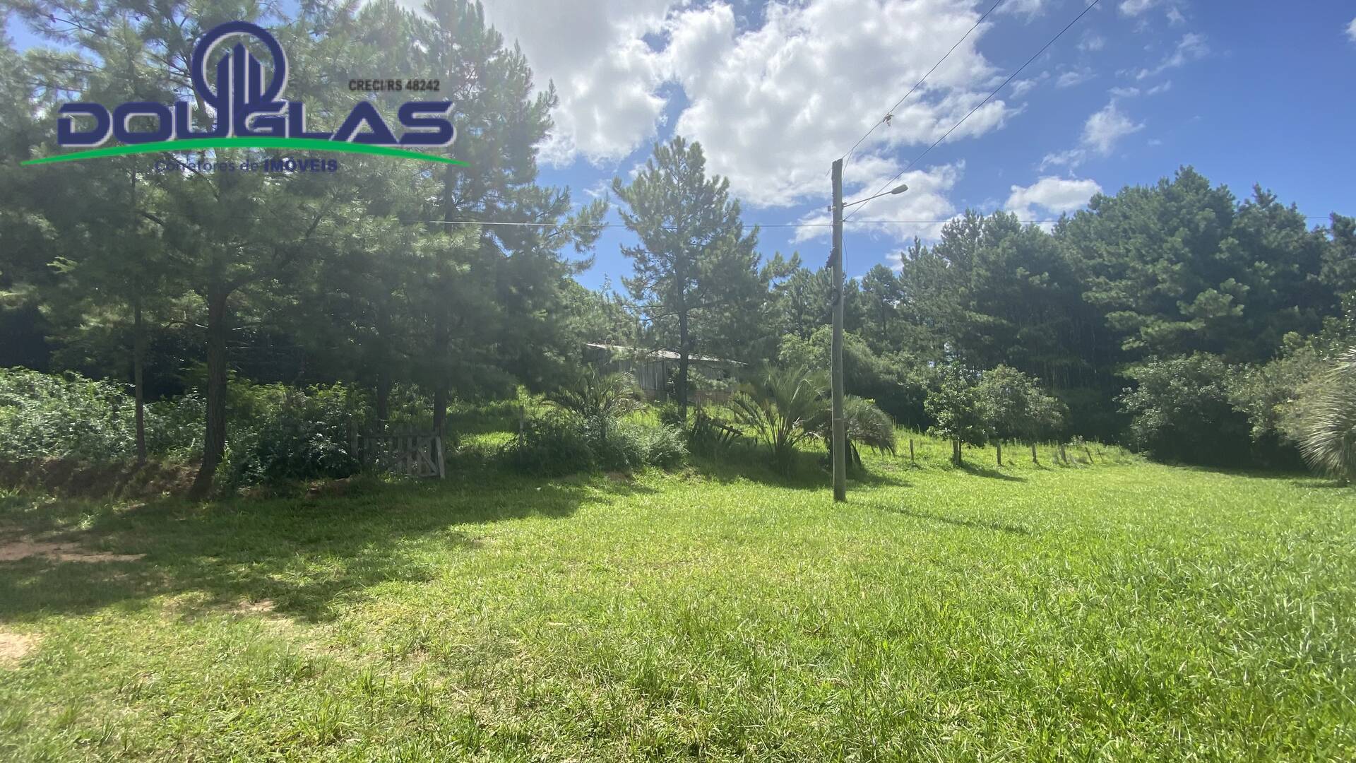 Terreno, 5000 m² - Foto 18