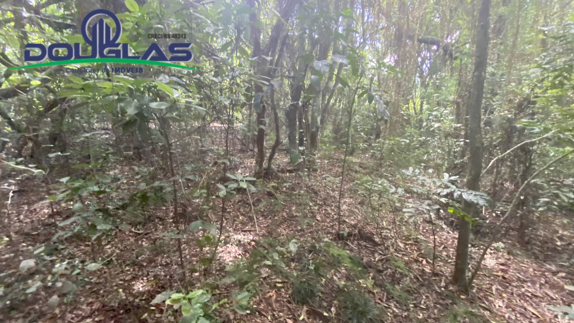 Terreno, 5000 m² - Foto 19