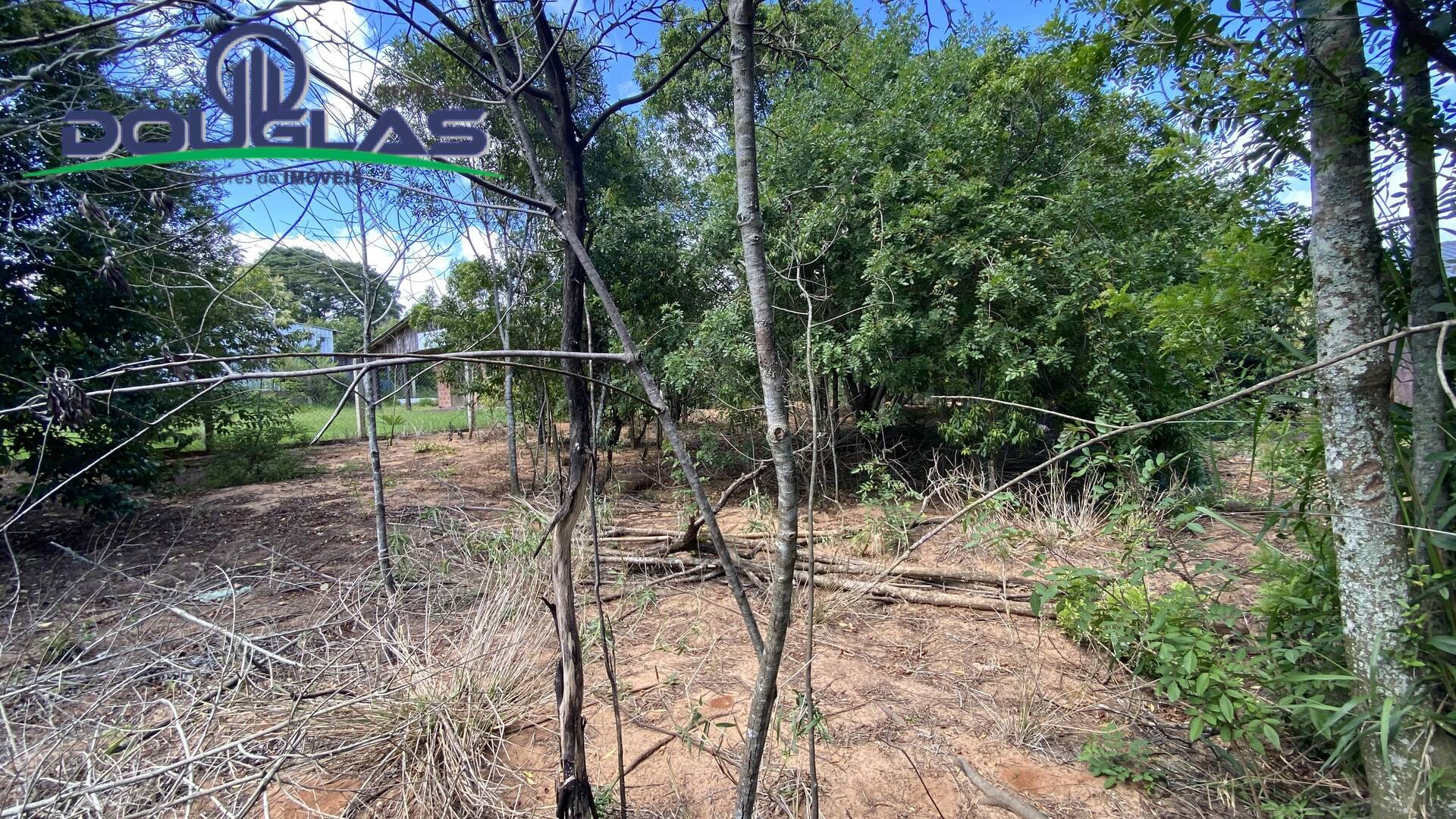 Terreno, 1000 m² - Foto 3