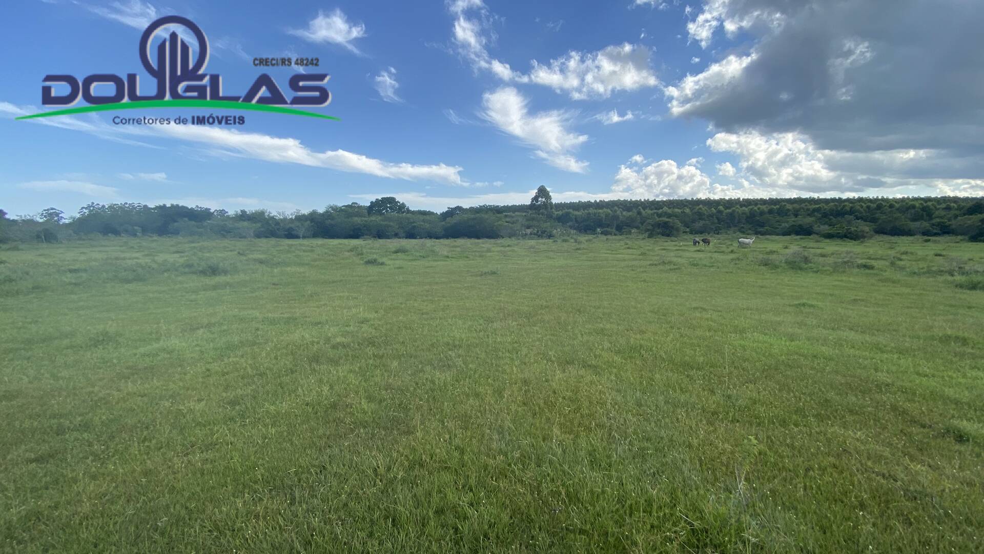 Terreno, 5 m² - Foto 3