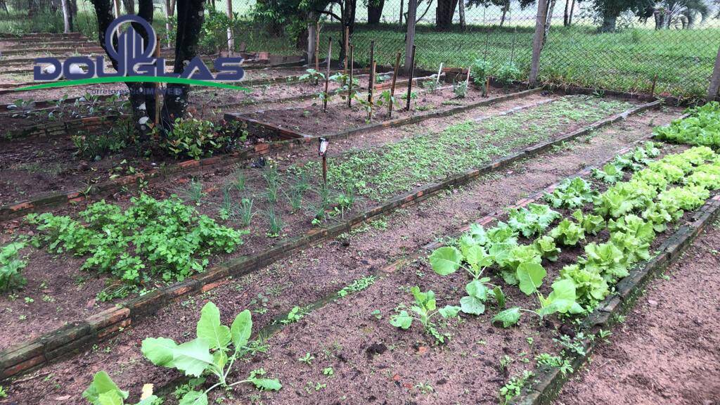 Sítio à venda com 2 quartos, 10m² - Foto 23