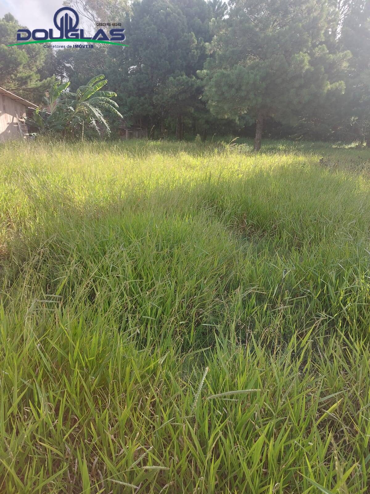 Terreno, 4500 m² - Foto 7