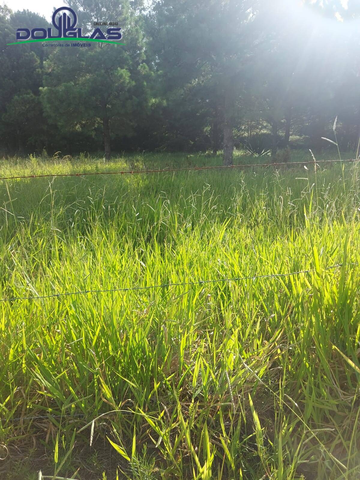 Terreno, 4500 m² - Foto 8