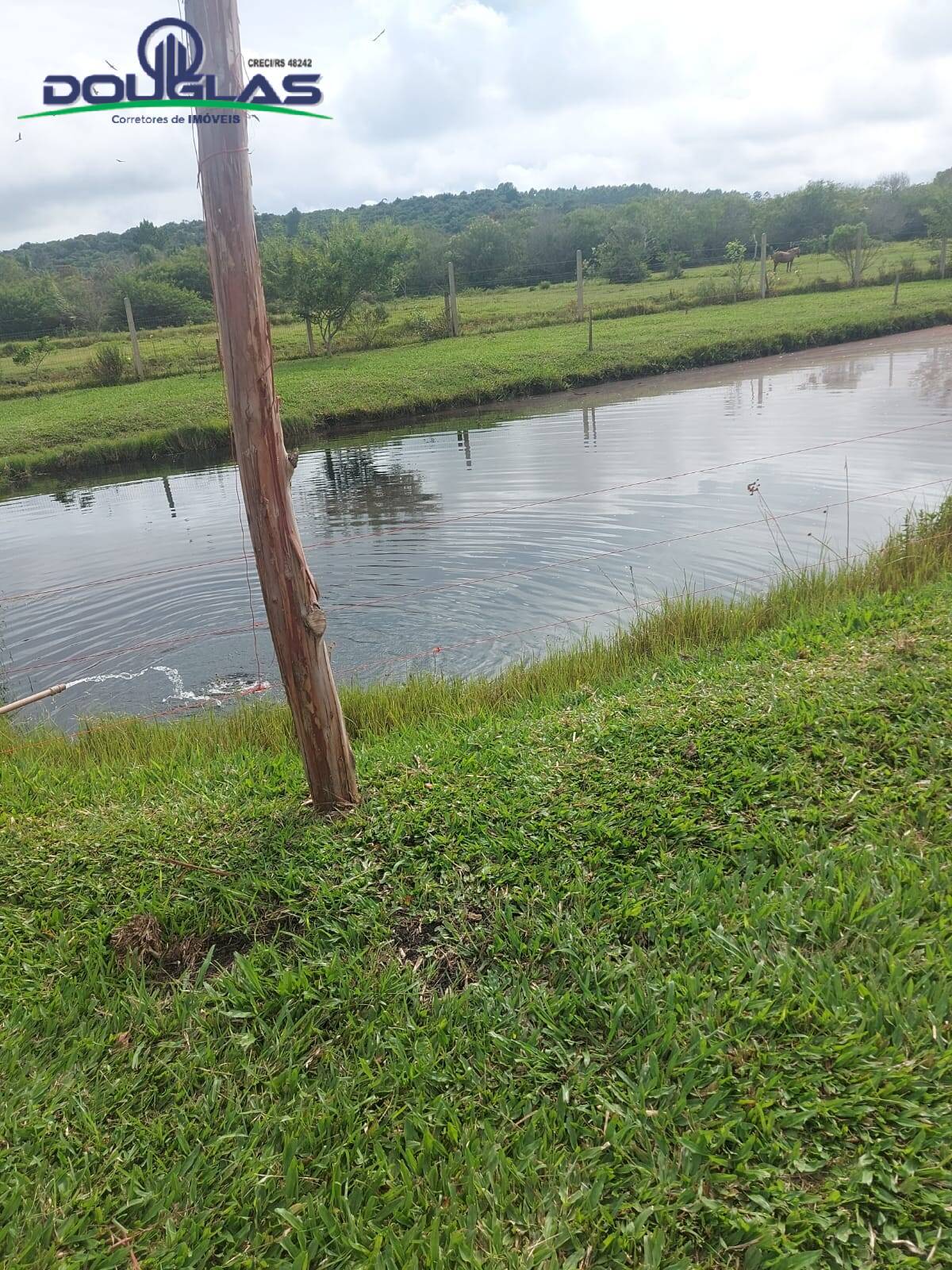 Terreno, 4500 m² - Foto 9