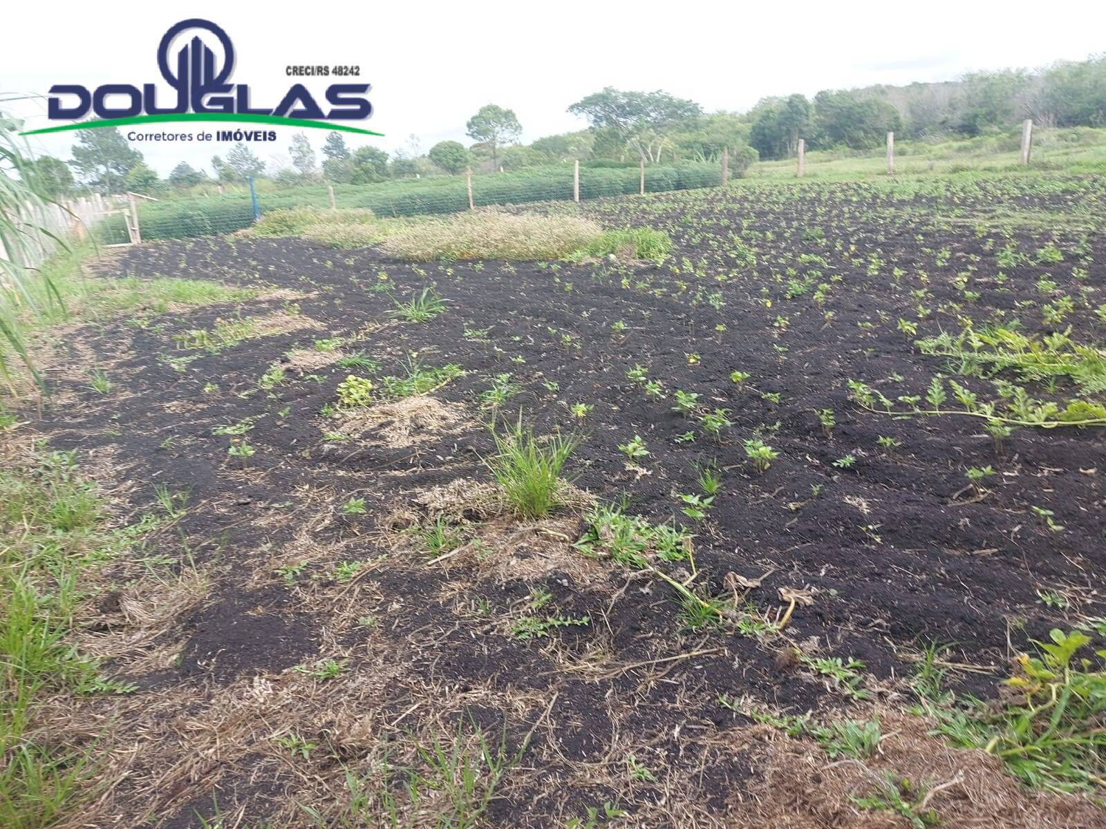 Terreno, 4500 m² - Foto 19