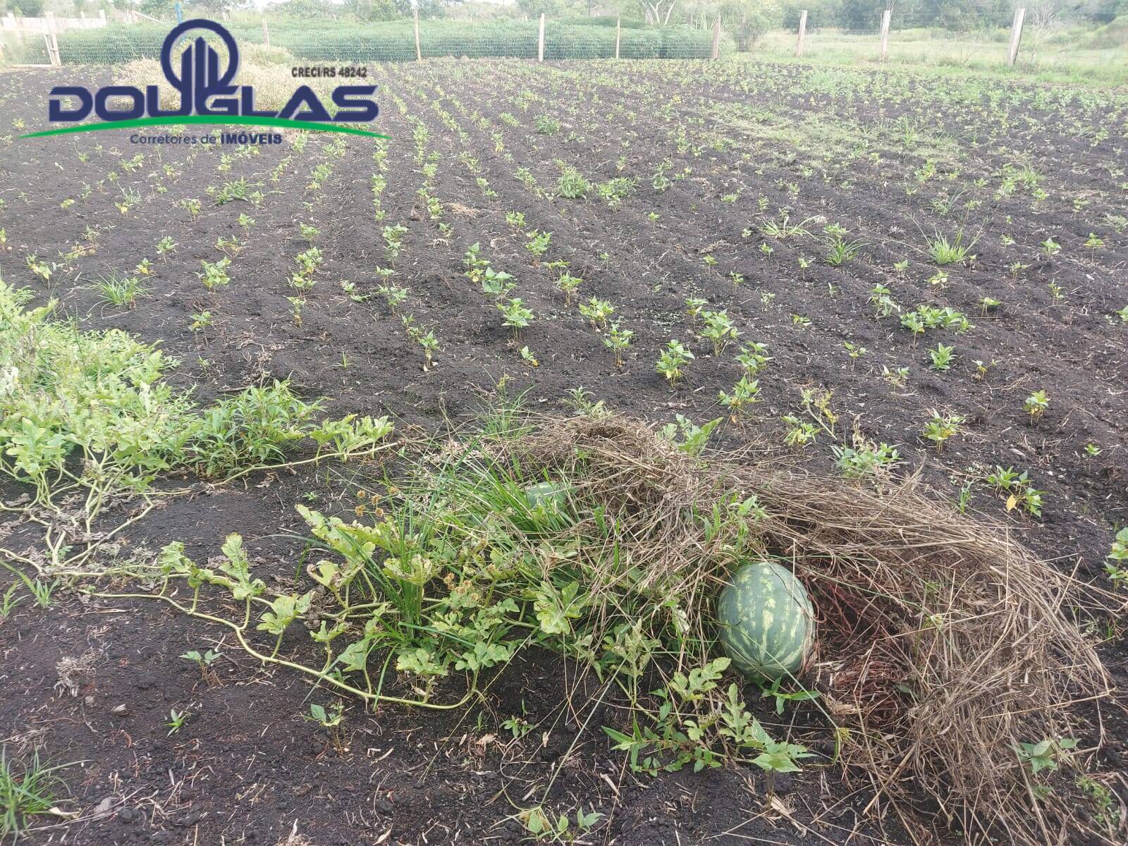 Terreno, 4500 m² - Foto 14