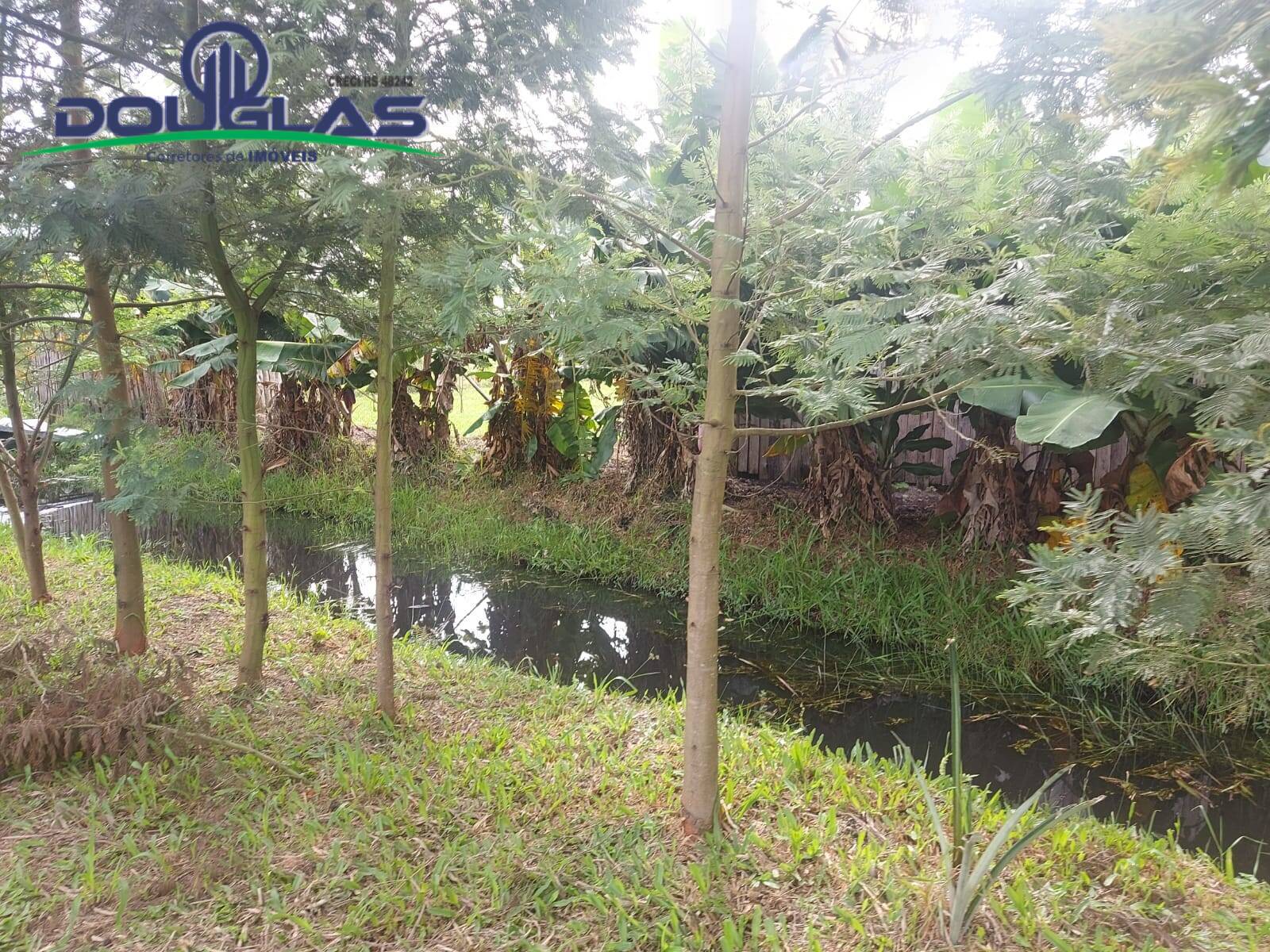 Terreno, 4500 m² - Foto 15