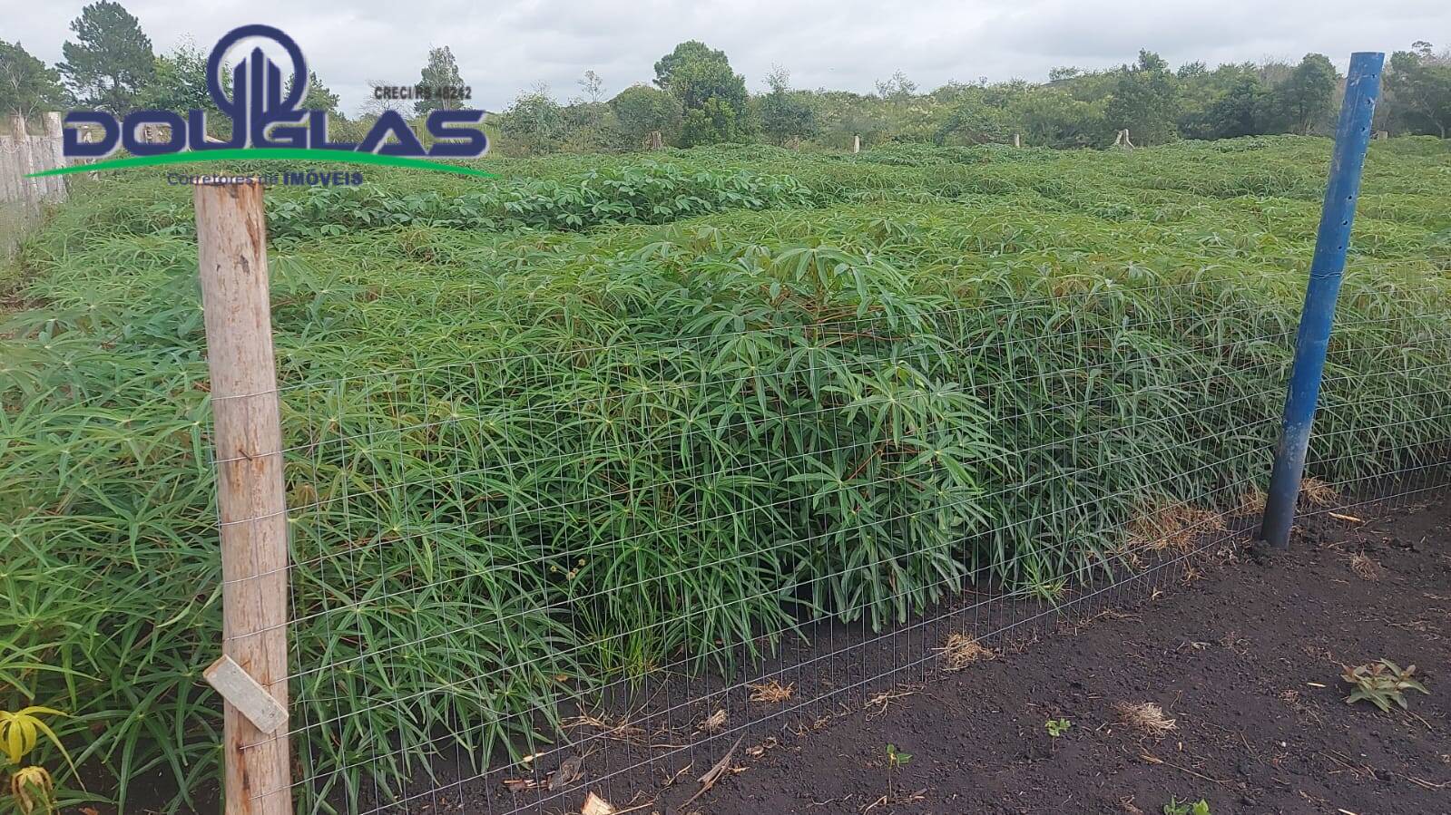 Terreno, 4500 m² - Foto 17