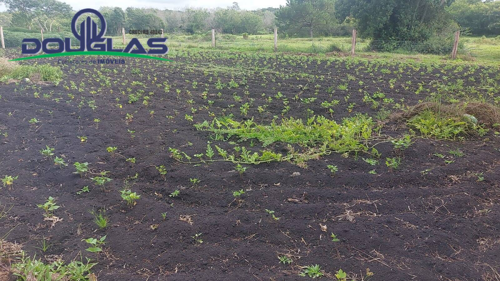 Terreno, 4500 m² - Foto 18