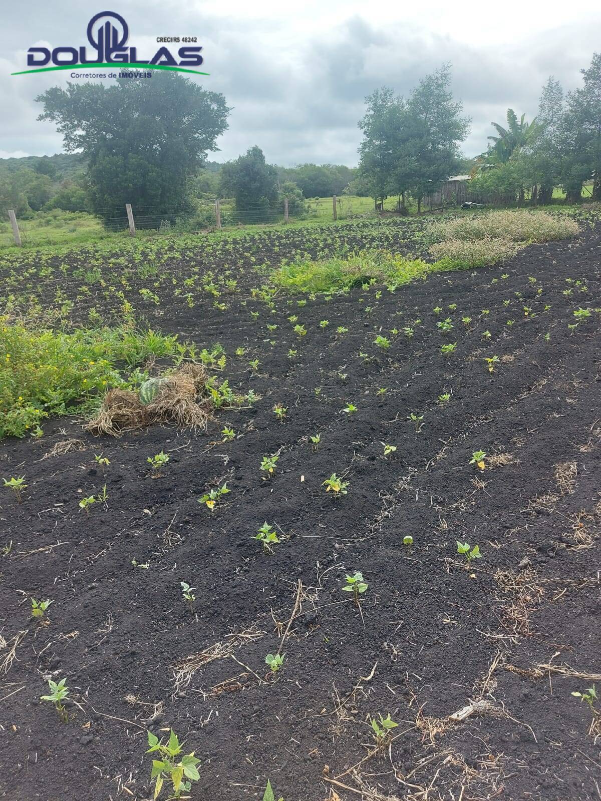 Terreno, 4500 m² - Foto 20