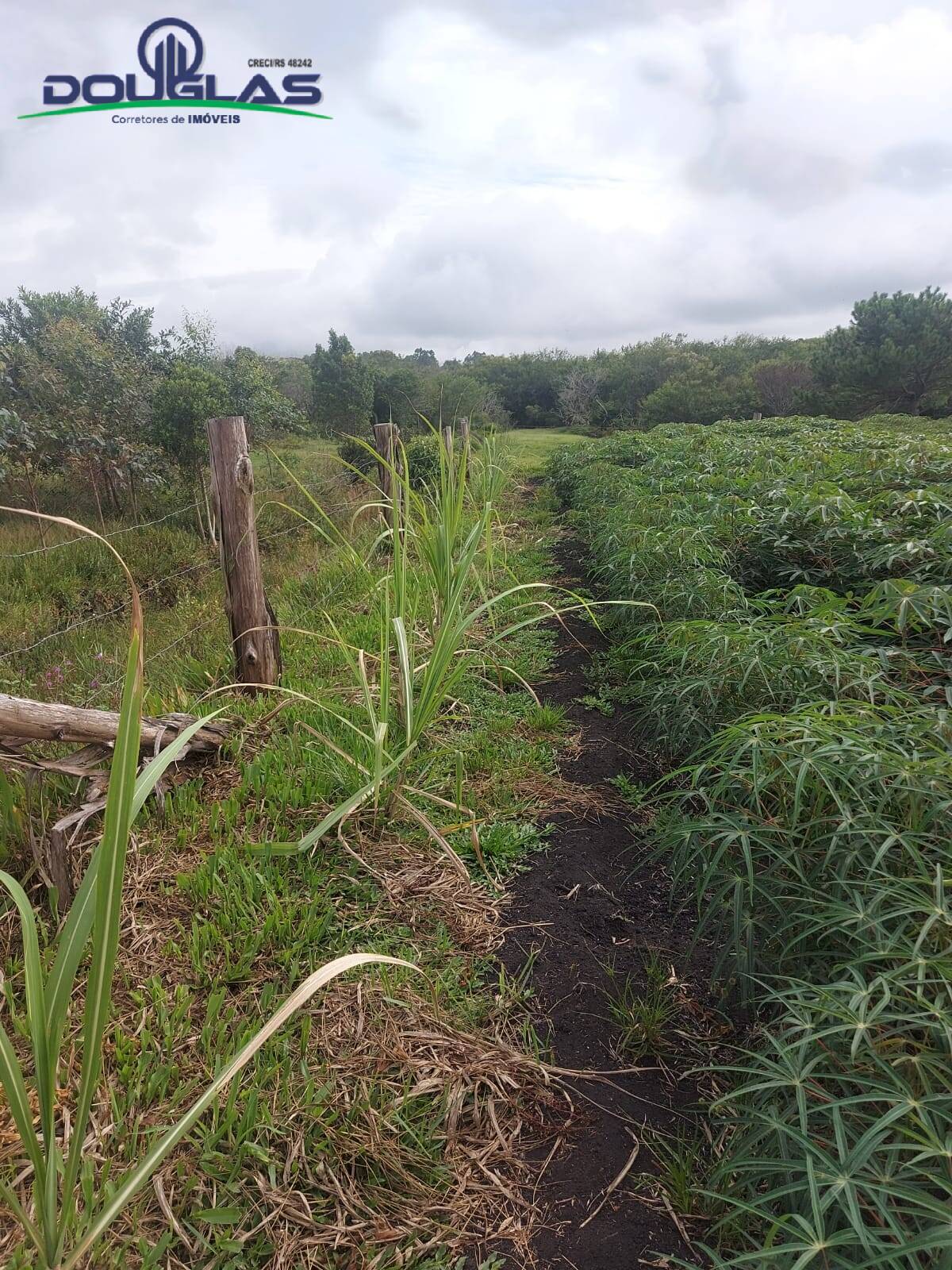 Terreno, 4500 m² - Foto 22