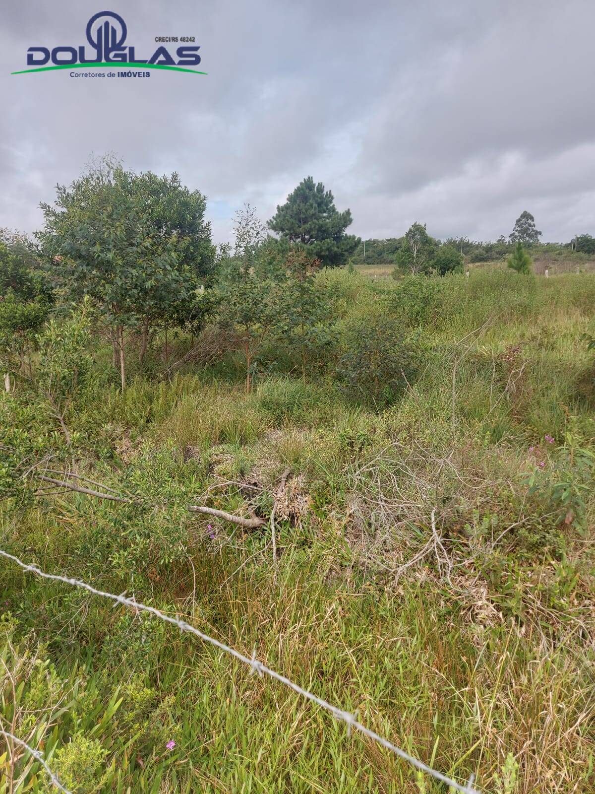 Terreno, 4500 m² - Foto 23