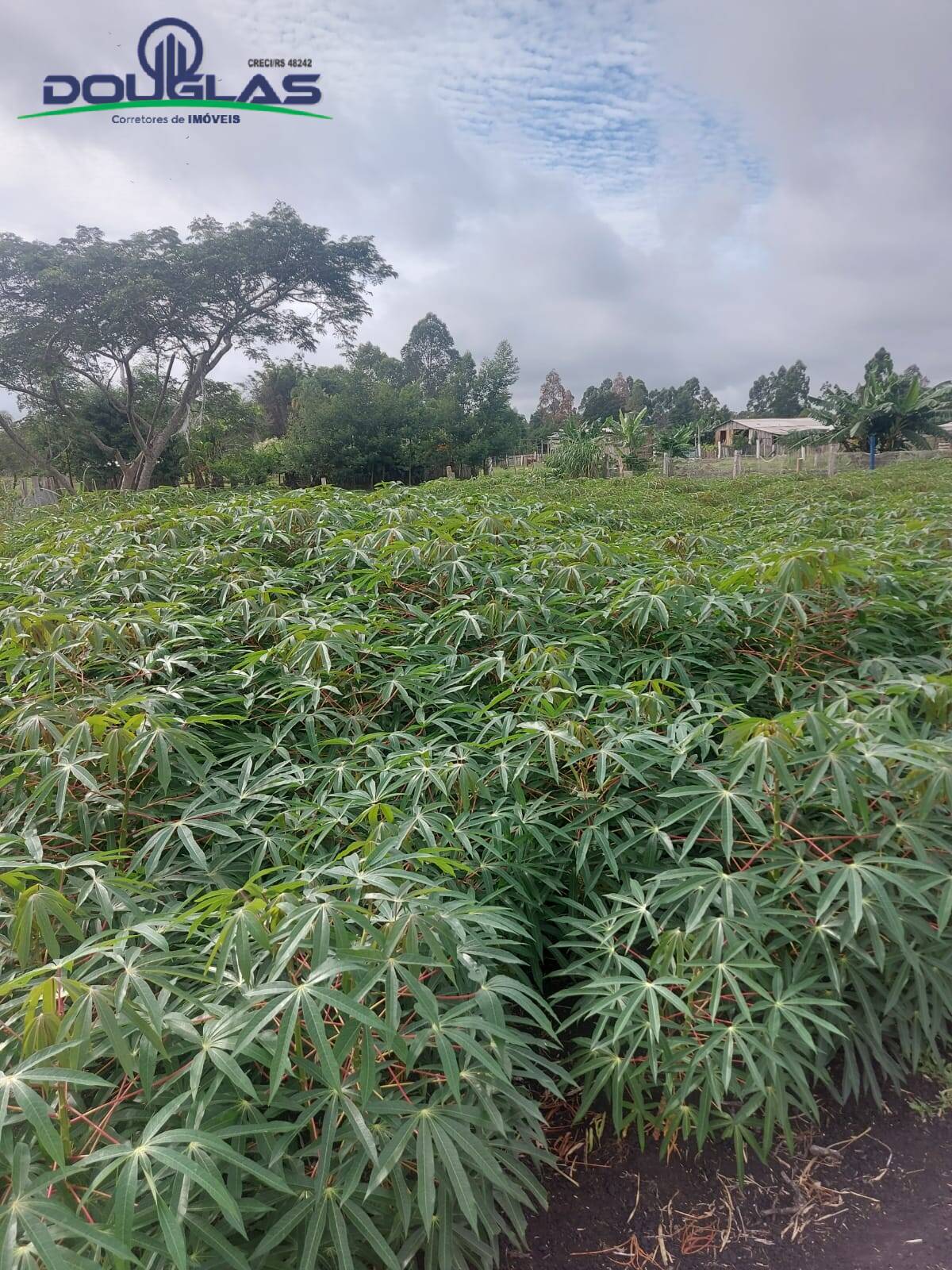 Terreno, 4500 m² - Foto 25