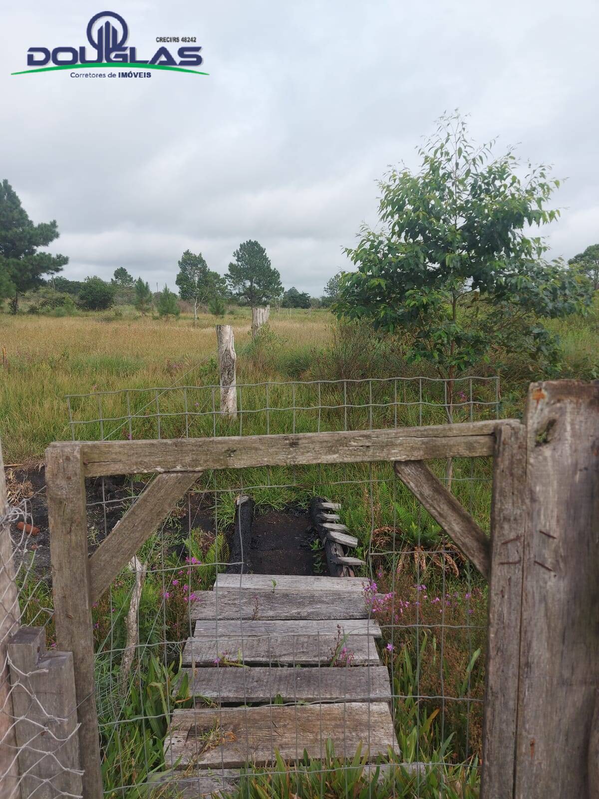 Terreno, 4500 m² - Foto 26