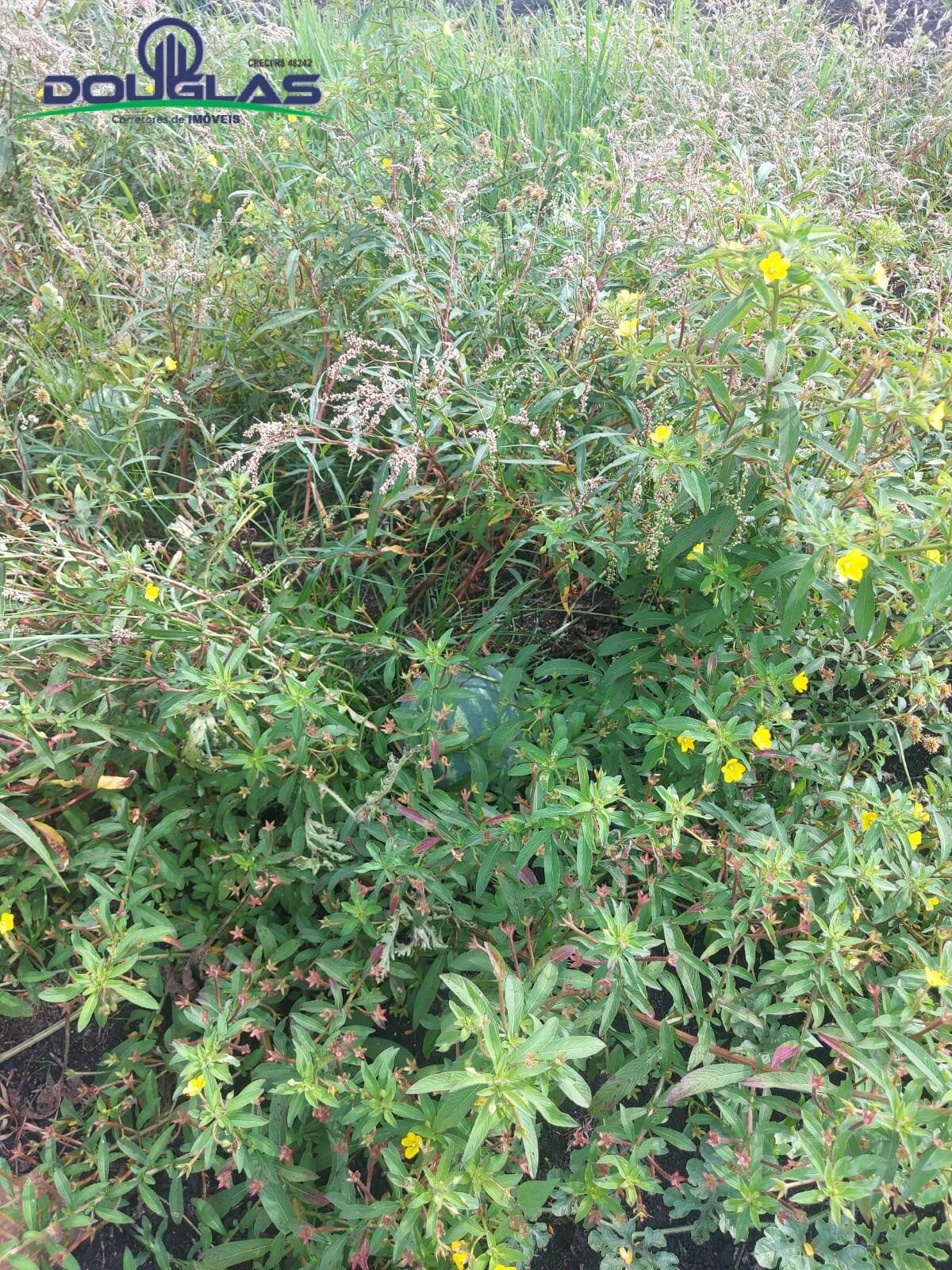 Terreno, 4500 m² - Foto 27