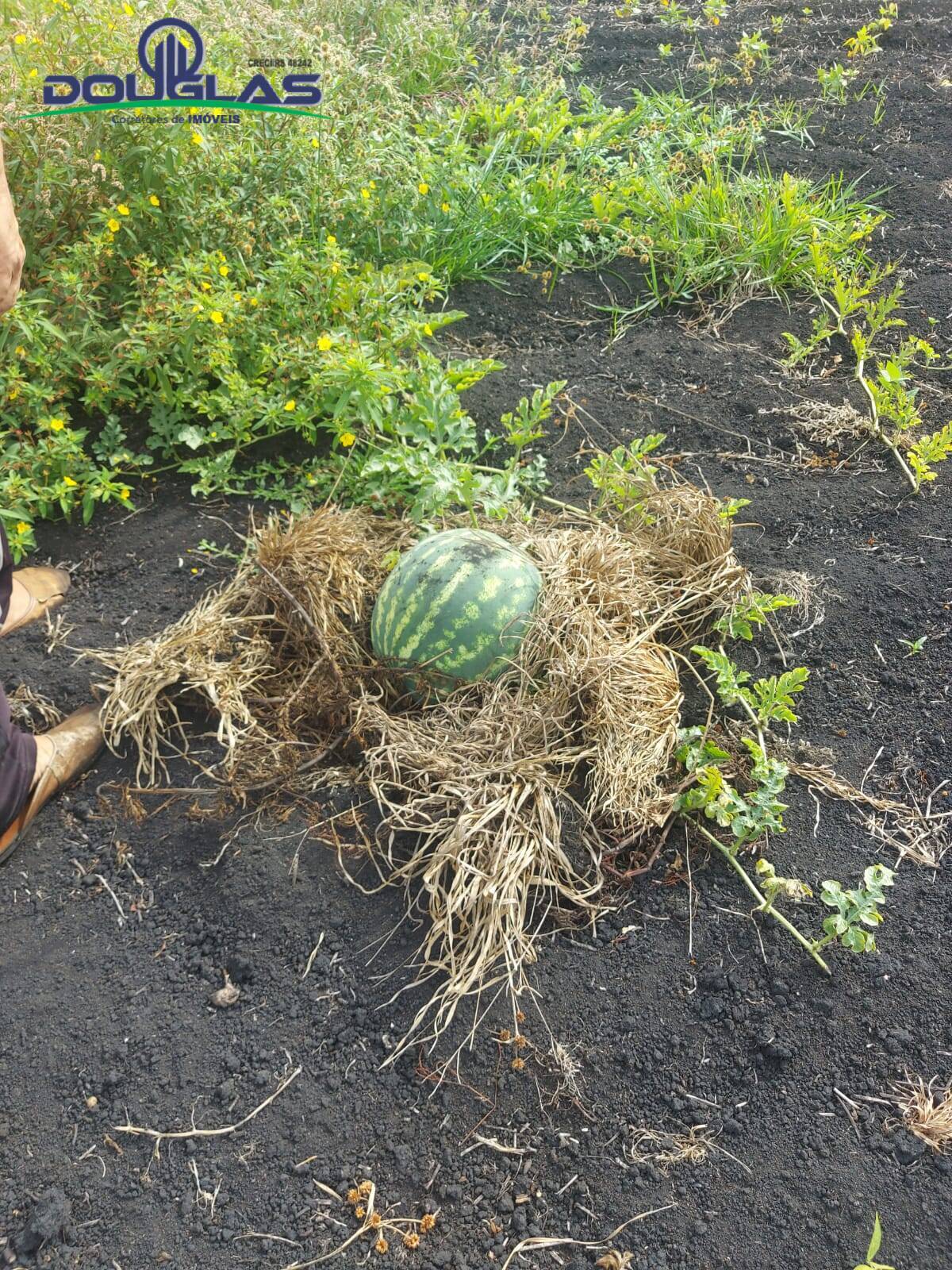 Terreno, 4500 m² - Foto 29