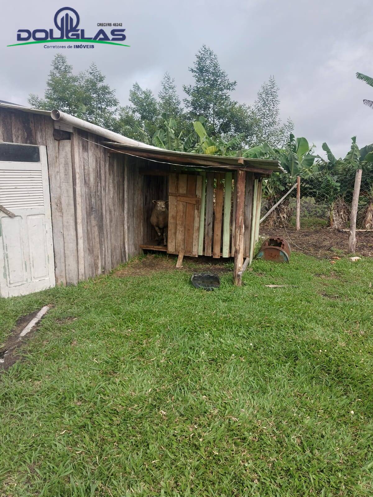 Terreno, 4500 m² - Foto 30